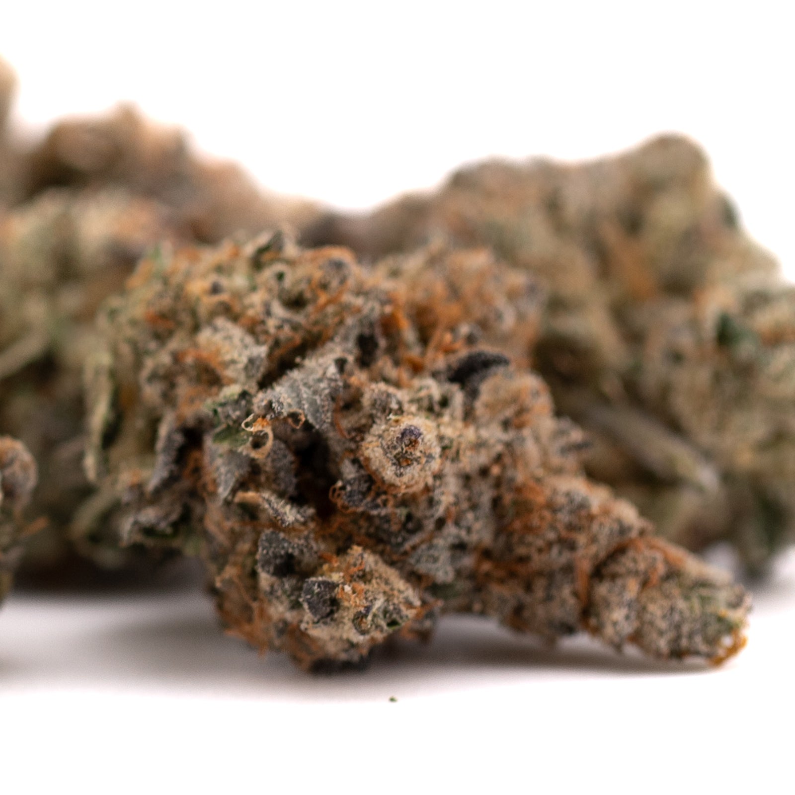 Dried Raspberry Runtz hemp flower bud with trichomes and orange hairs for space cake