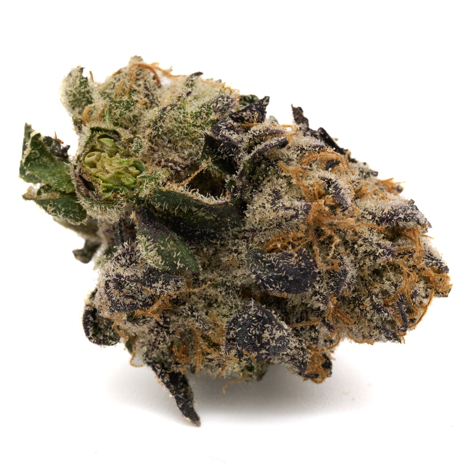 Raspberry Runtz Indoor THCa Flower with dense trichome-covered green purple and orange buds