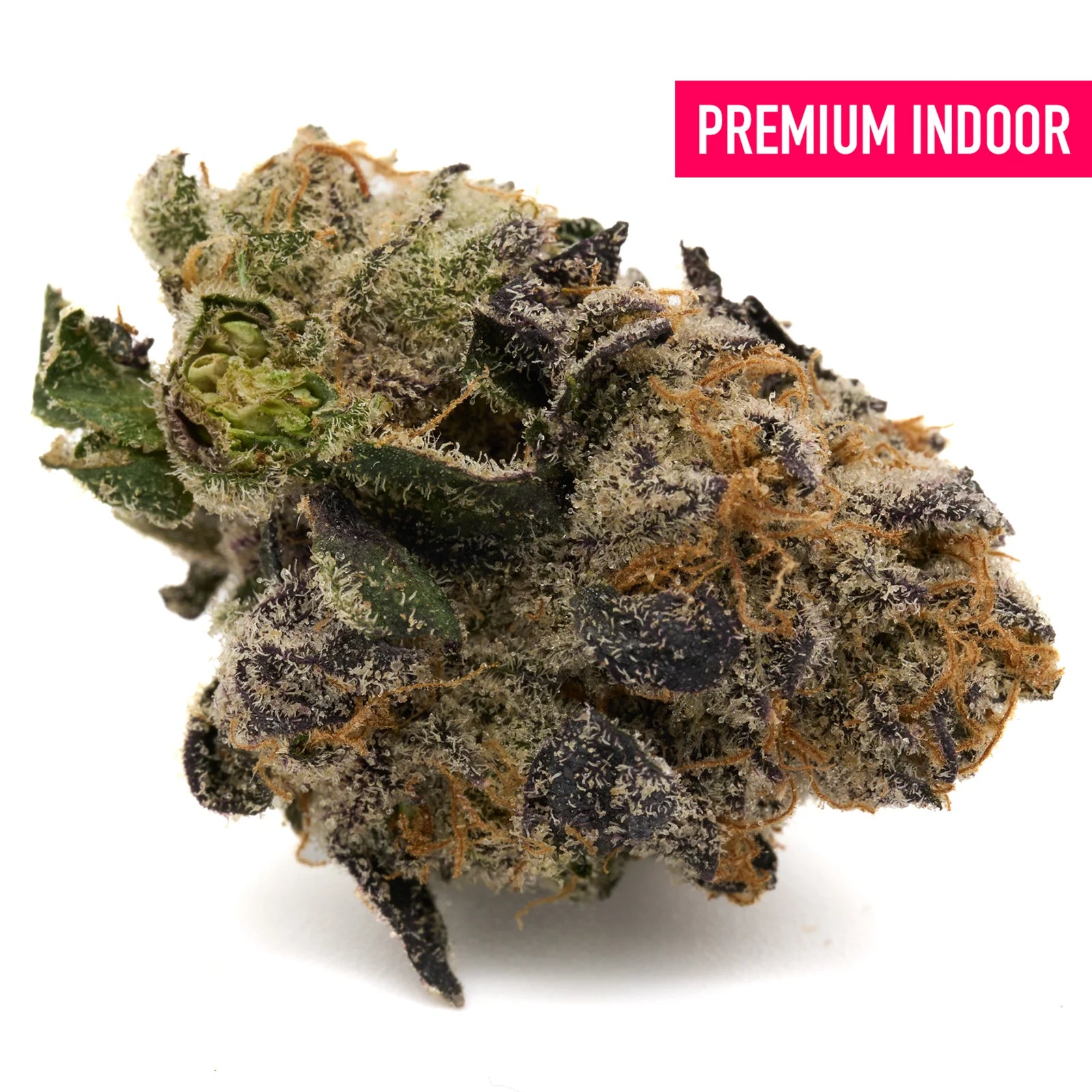 Raspberry Runtz Indoor THCa Flower with dense trichome-covered cannabis bud in vibrant green purple and orange hues