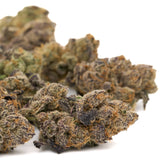 Dried Raspberry Runtz Indoor THCa Flower with purple hues and orange hairs