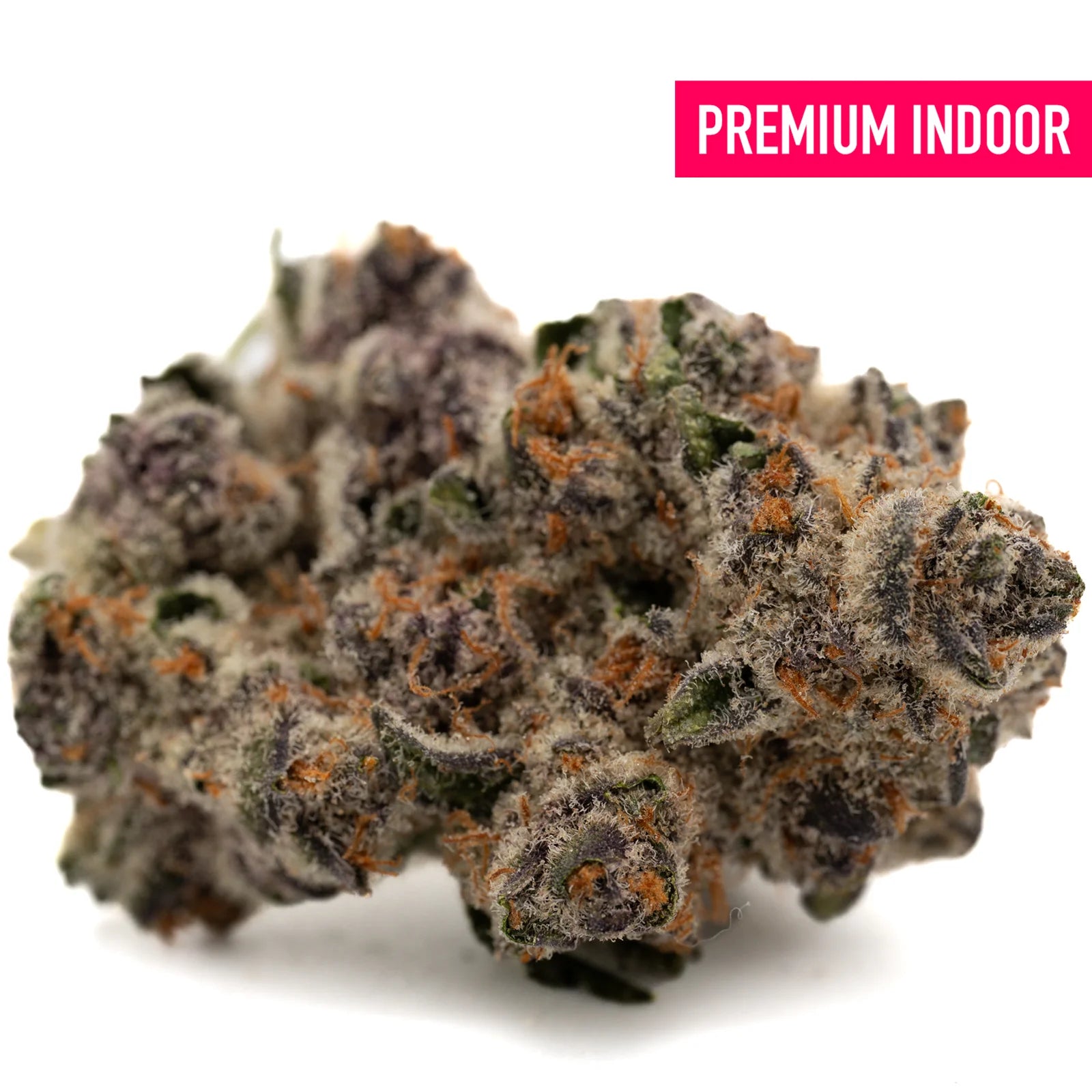 Close-up of Black Frost’s Indoor THCa Flower Blackberry Kush with dense trichomes and purple-orange hues