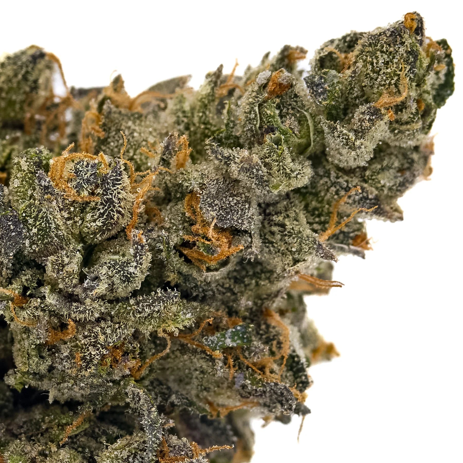 Red Runtz THCa Hemp Flower THCa