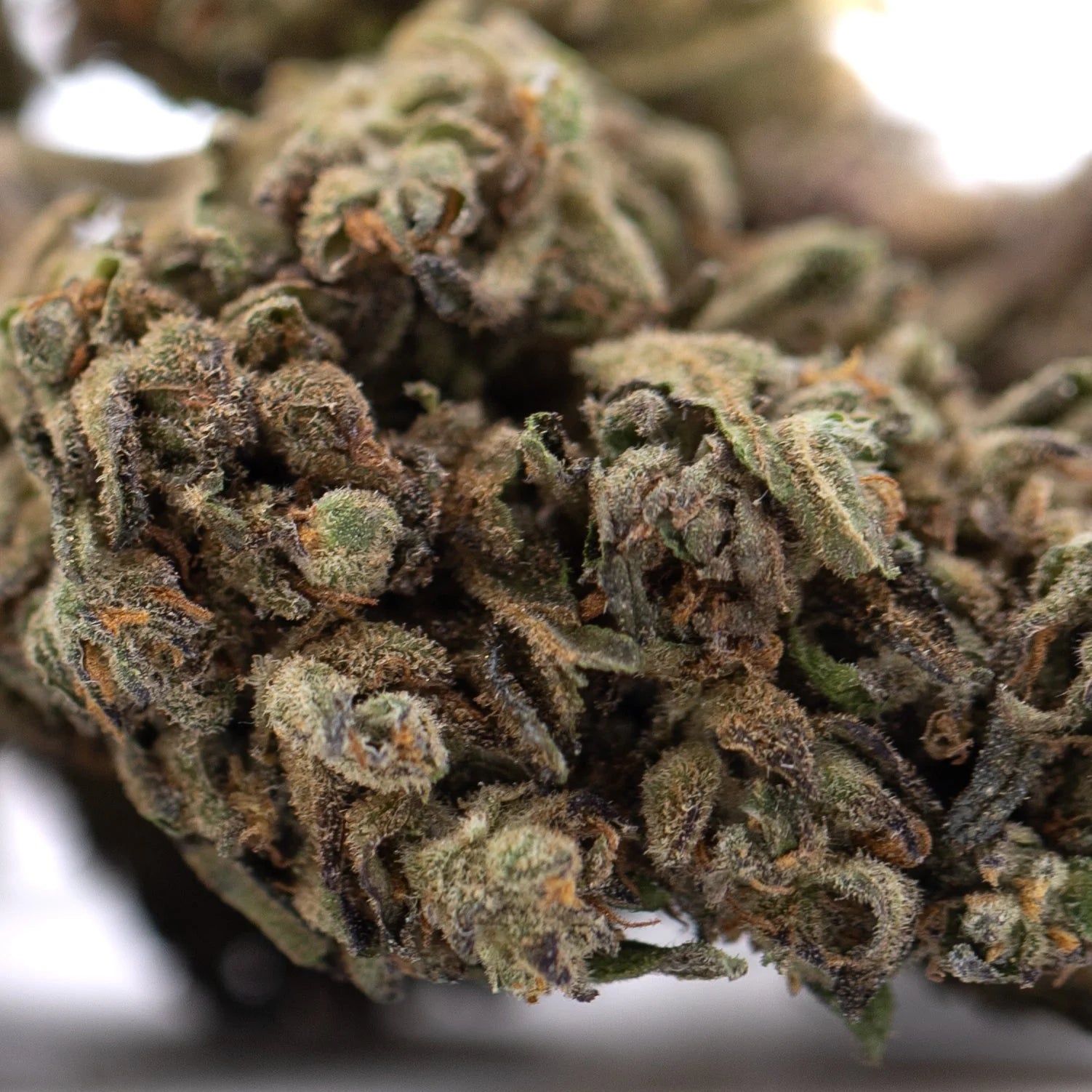 A dense resinous rna full-term cbd hemp flower bud with green and brown hues covered in fine trichomes and elevated cbg