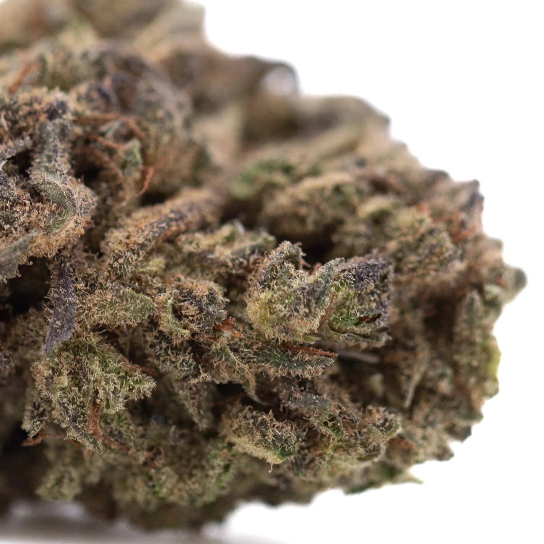 Dense textured rna cbd hemp flower full-term bud with green brown hues and elevated cbg terpene profile trichomes