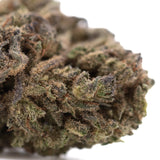 Dense textured rna cbd hemp flower full-term bud with green brown hues and elevated cbg terpene profile trichomes