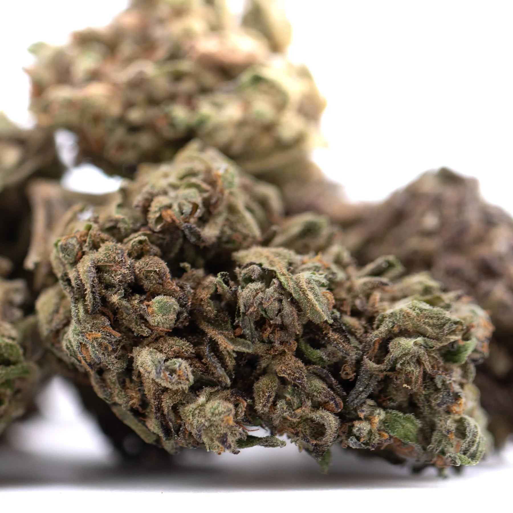 A dense rna cbd hemp flower bud with green and brown hues covered in fine trichomes rich in minor cannabinoid