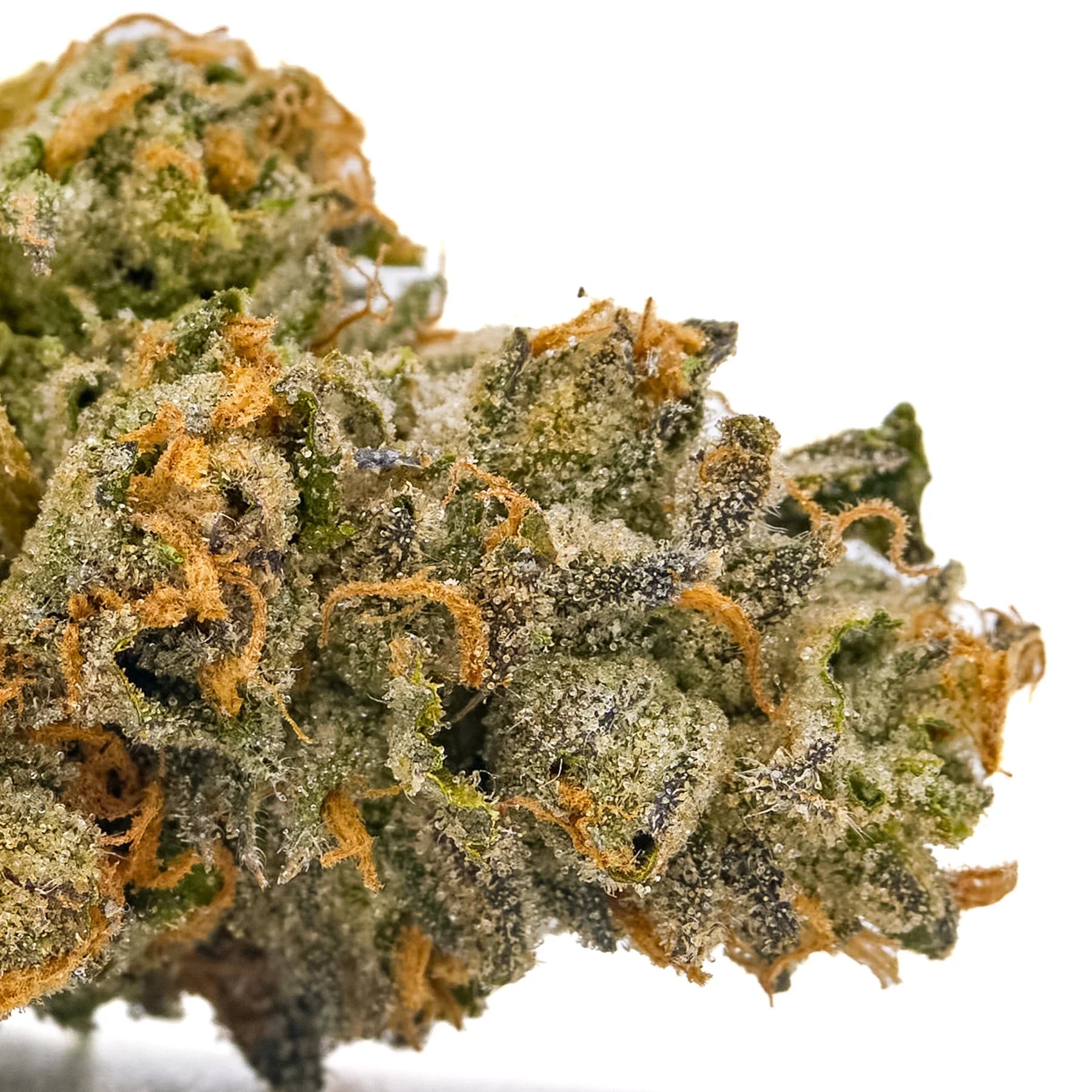 rose gold runtz seeds Rose Gold Runtz THCa Hemp Flower - Hemp Flower Co