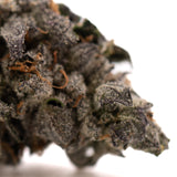 Rose Gold Runtz indoor THCa flower with dense trichome-covered purple and green buds