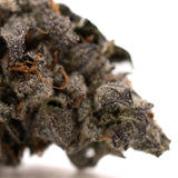 Rose Gold Runtz indoor THCa flower with dense trichome-covered purple and green buds