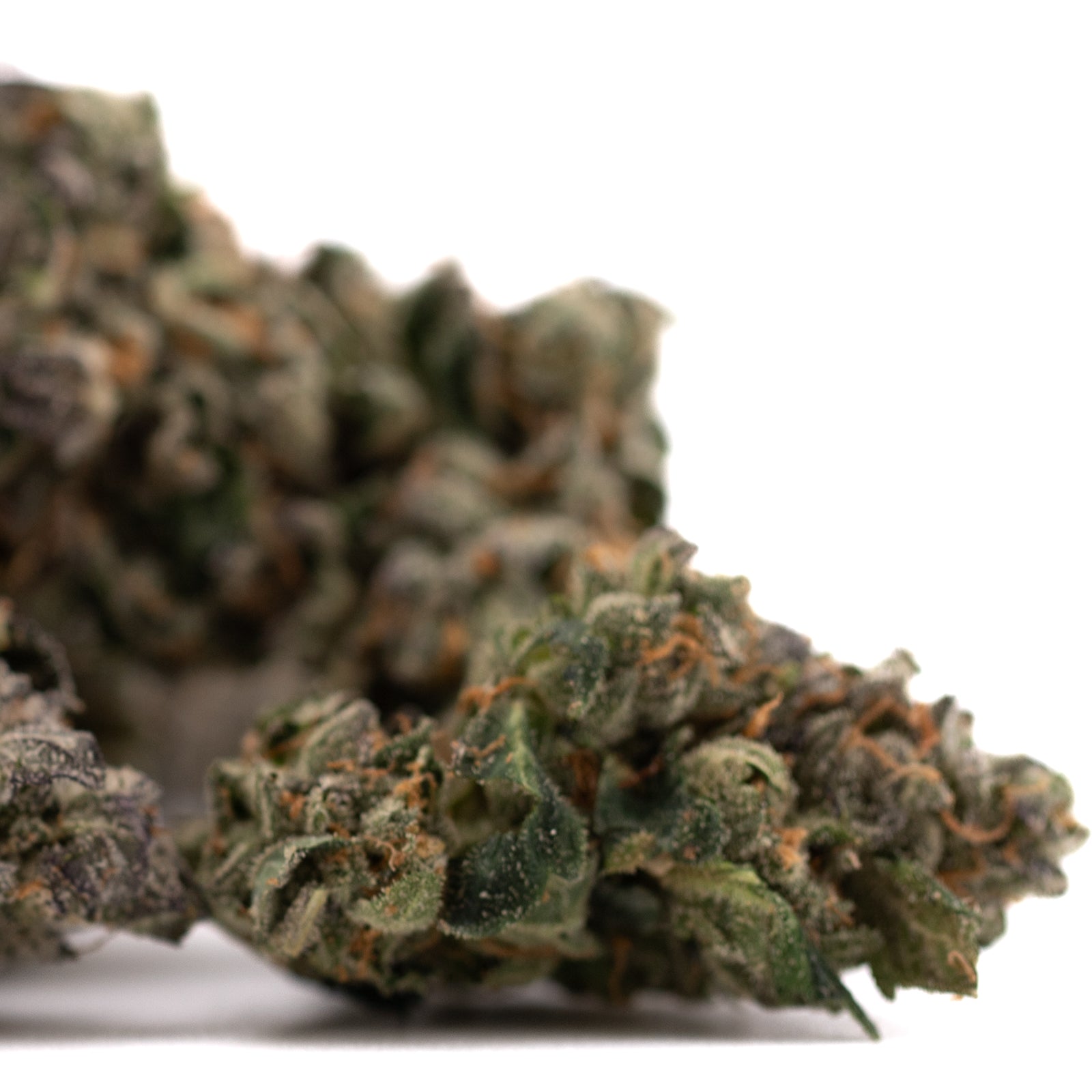 Dried cannabis buds with green and orange hues from Rose Gold Runtz Indoor THCa Flower