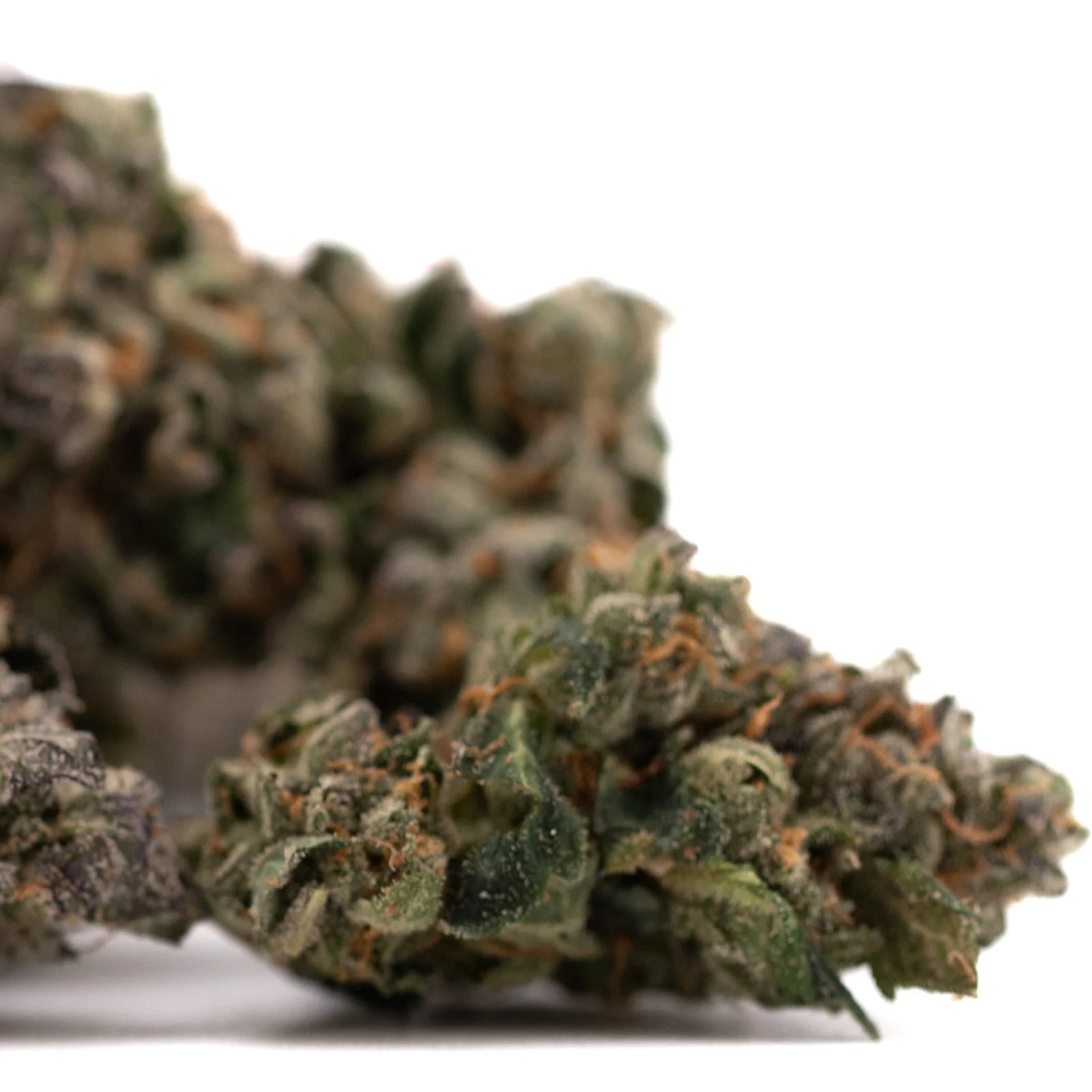 Dried cannabis buds with green and orange hues from Rose Gold Runtz Indoor THCa Flower