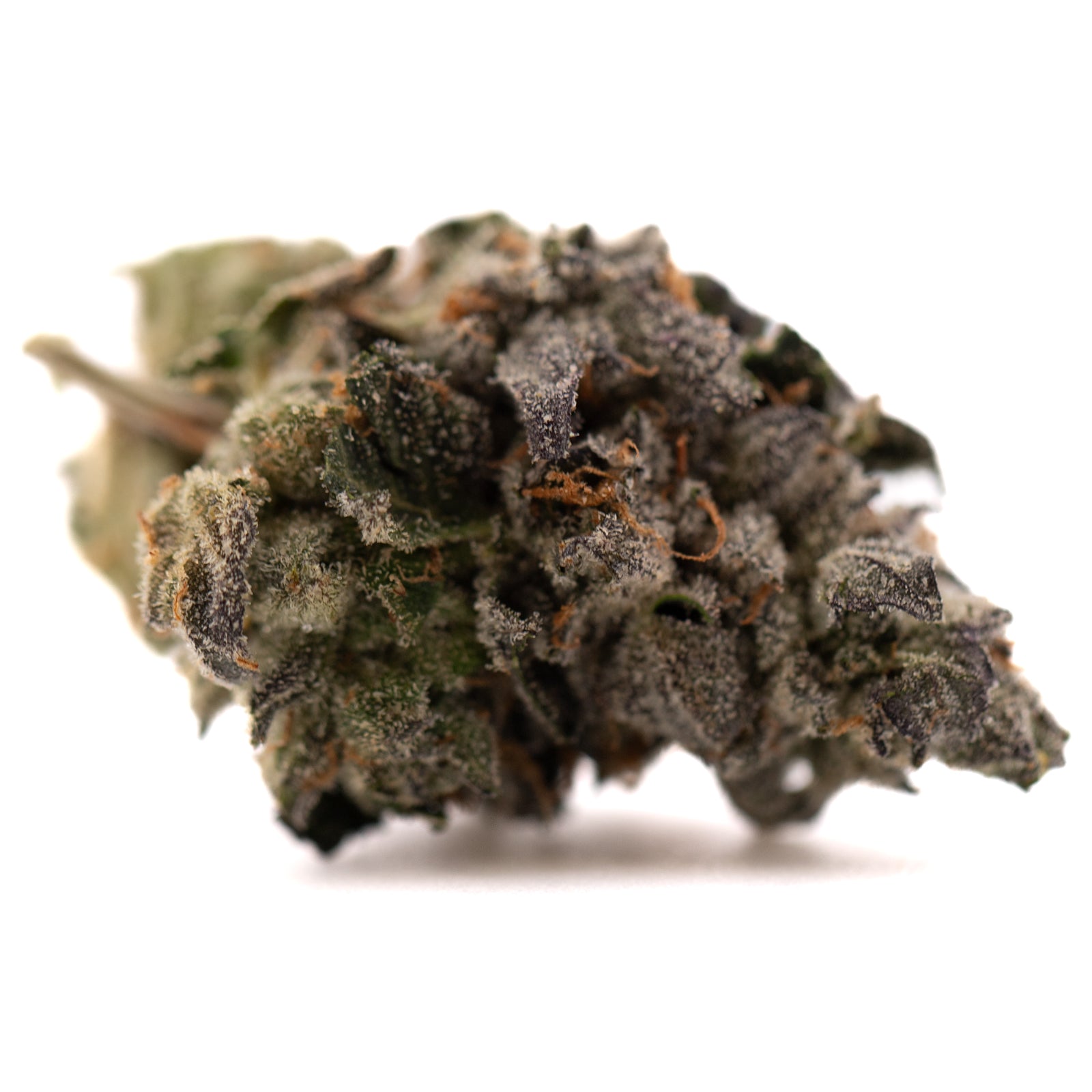 Rose Gold Runtz indoor THCa flower with dense purple bud, frosty trichomes, and orange pistils