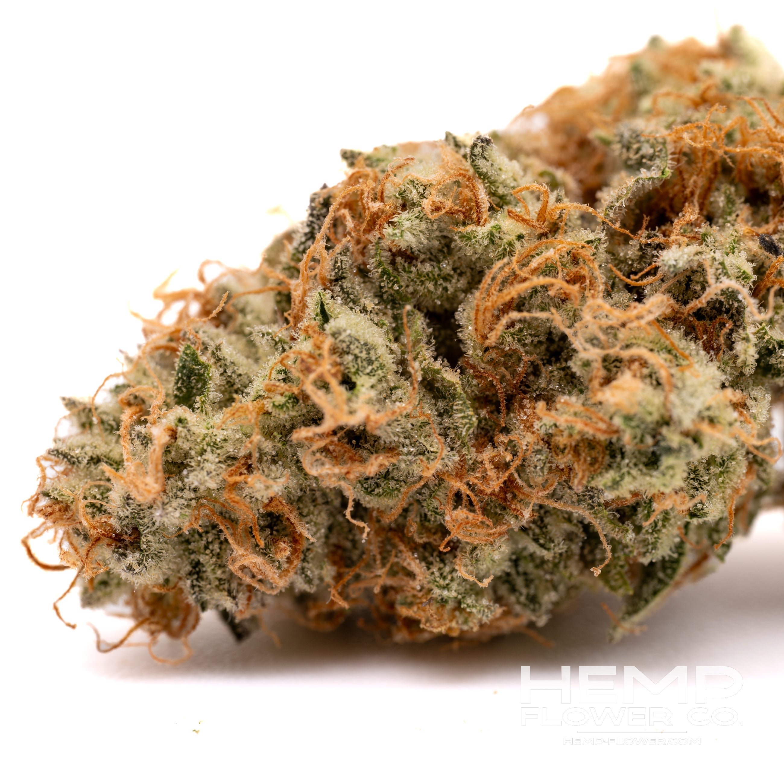 Close-up of Rose Gold Runtz indoor THCa flower with orange pistils and frosty trichomes