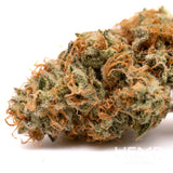 Close-up of Rose Gold Runtz indoor THCa flower with orange pistils and frosty trichomes