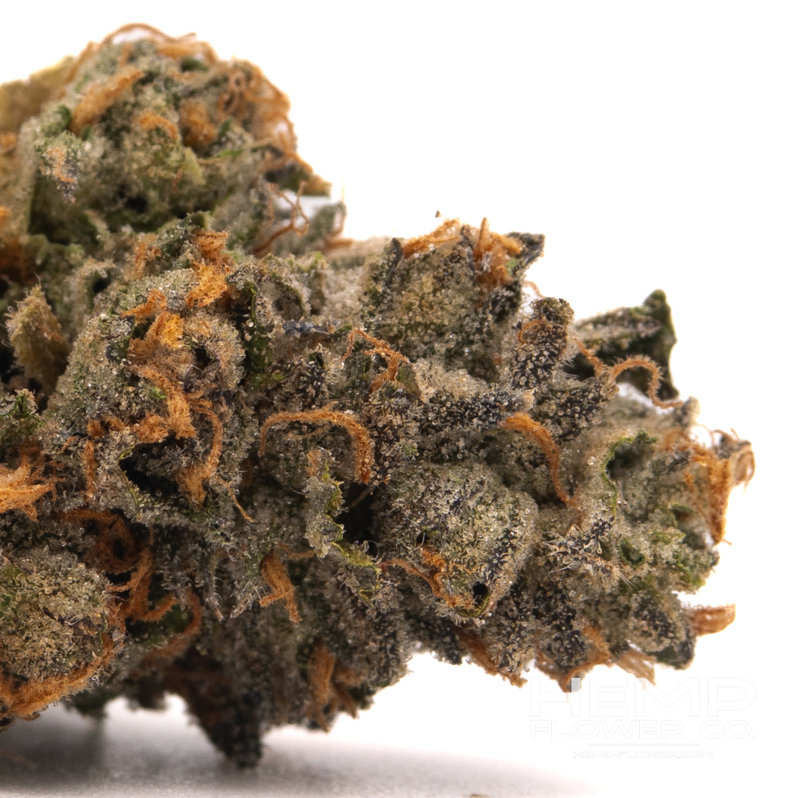 Rose Gold Runtz hemp flower with dense trichomes, orange pistils, and dark green foliage