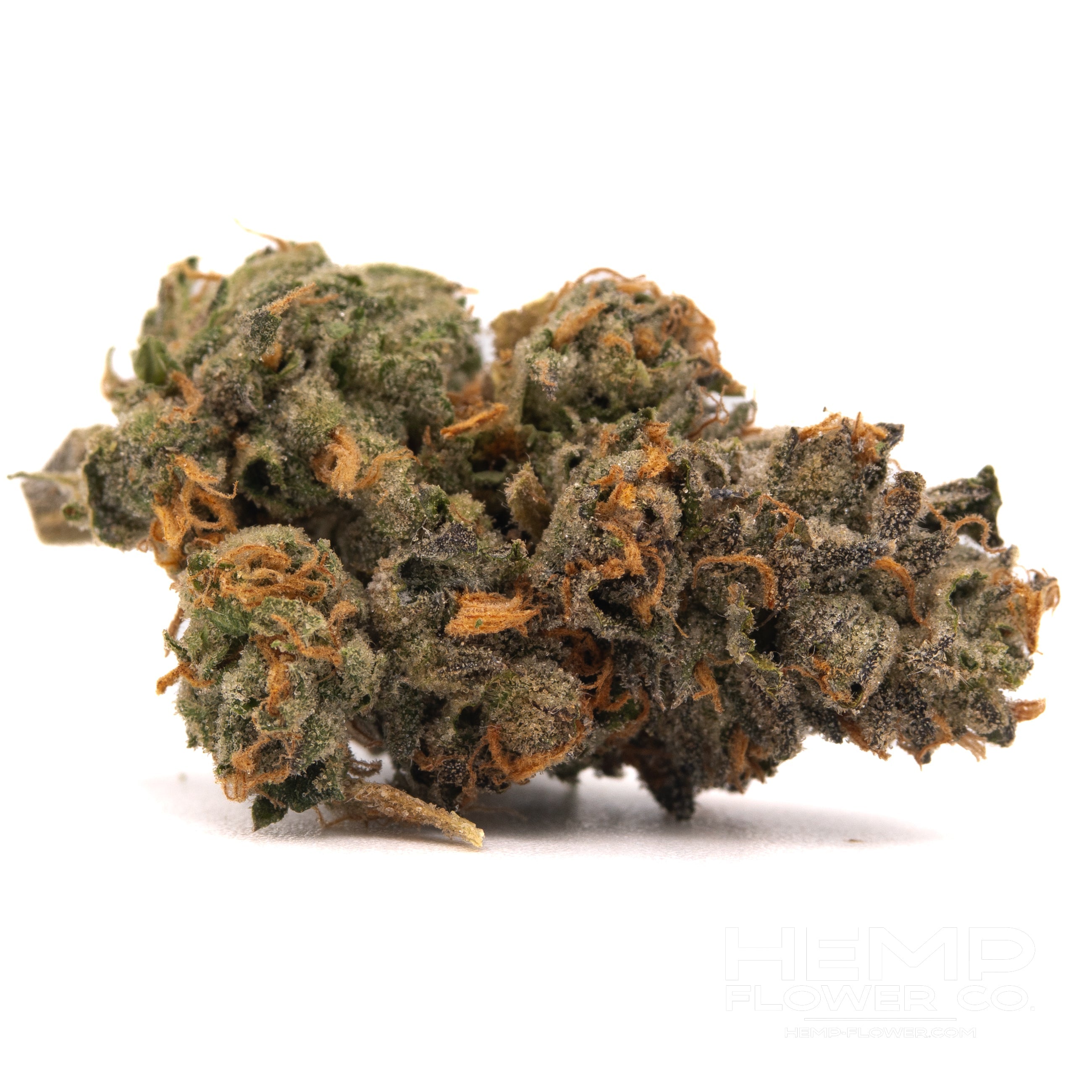 Rose Gold Runtz indoor THCa flower with dense trichome-covered hemp bud and orange pistils