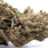 A dense sativa-dominant hybrid royal highness thca flower with green and brown hues covered in fine trichomes