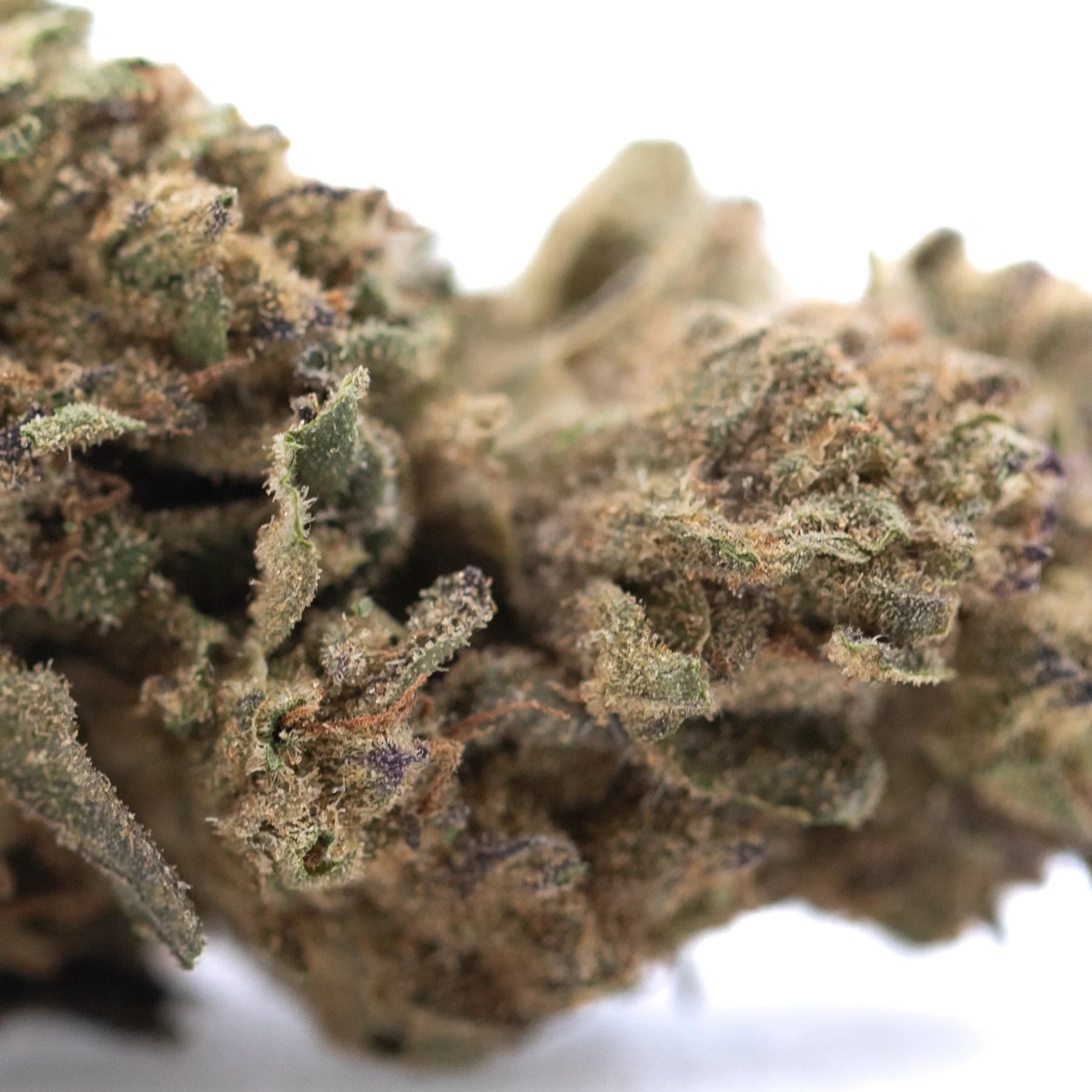 A dense royal highness hemp flower bud with green brown hues and fine trichomes lab tested for quality