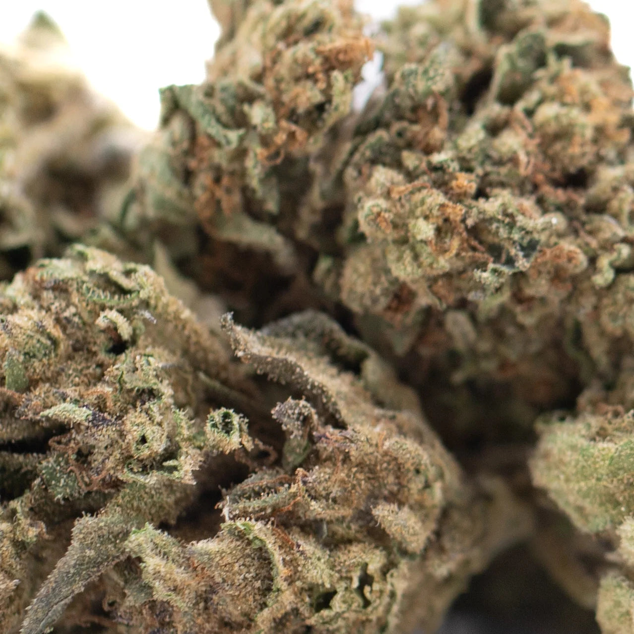A dense royal highness hemp flower bud with green and brown hues covered in fine lab tested trichomes