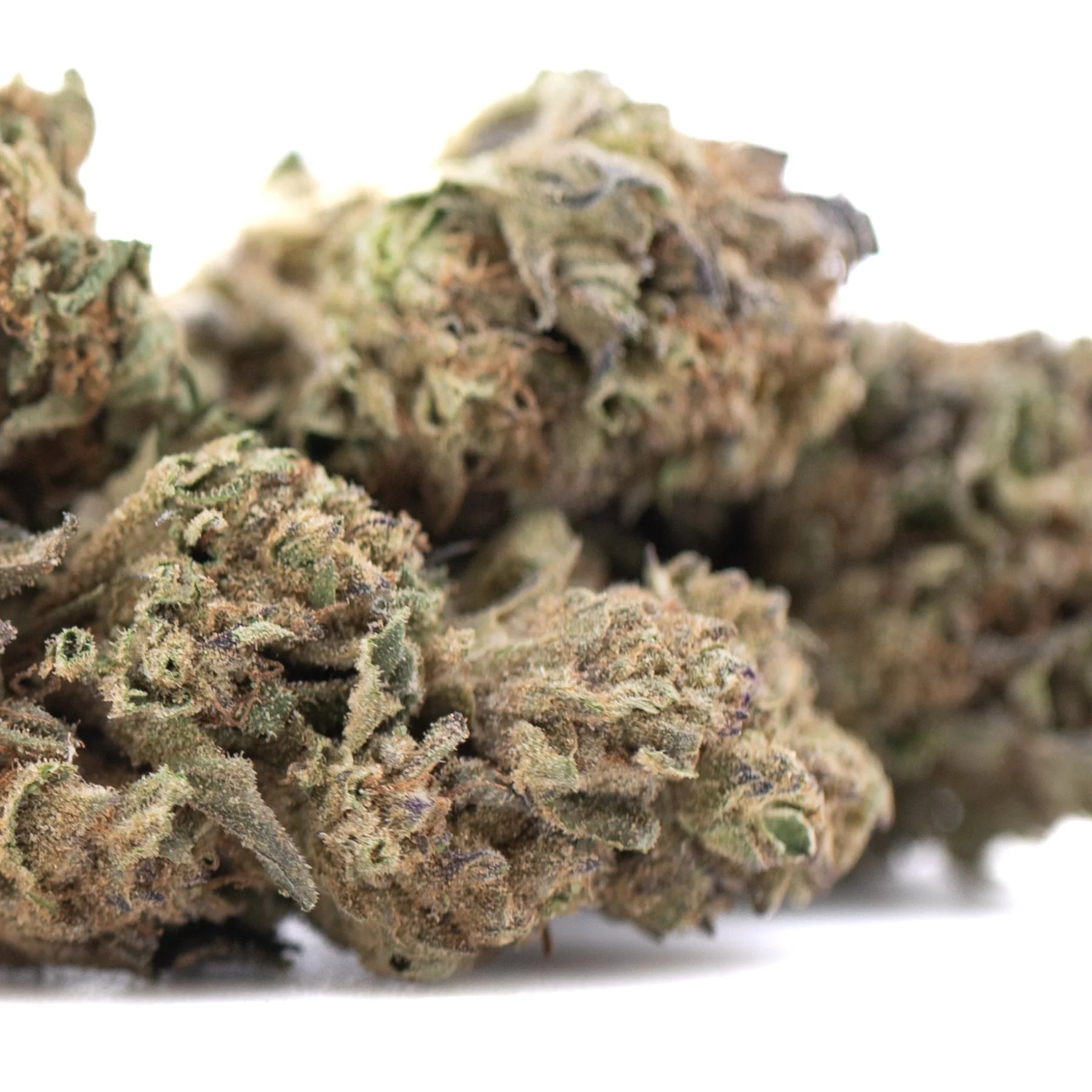 Mature royal highness hemp flower with dense frosty trichomes and green brown purple hues lab tested full term wholesale