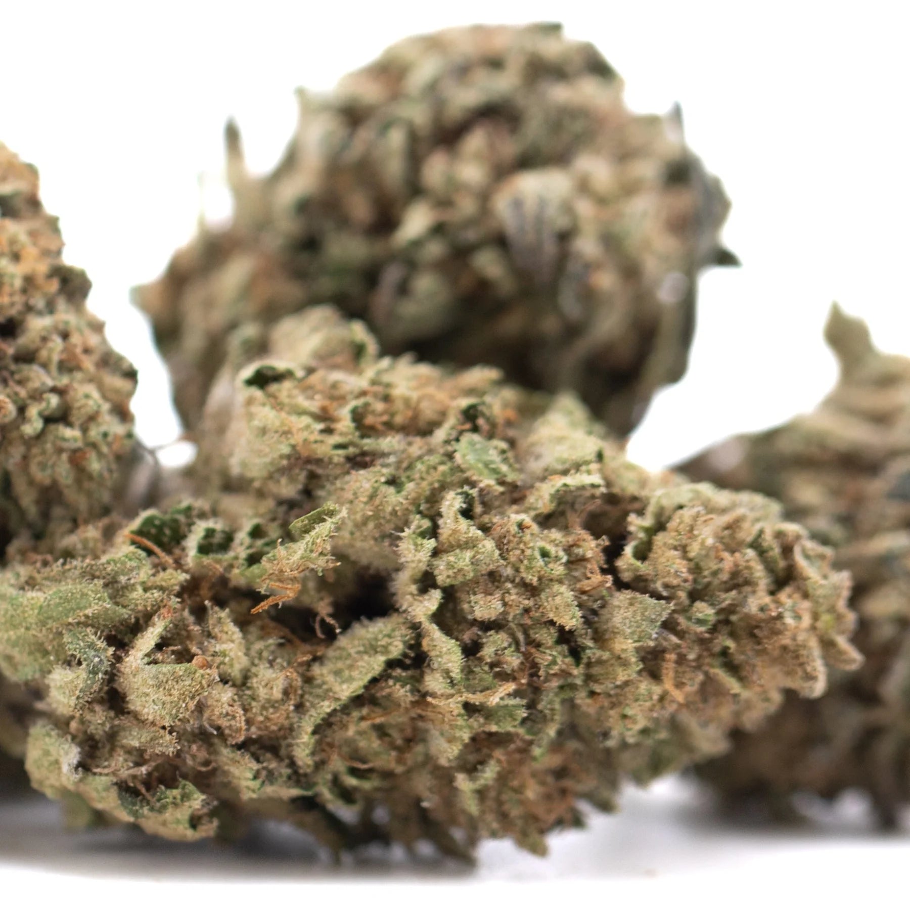 Mature royal highness thca hemp flower buds with dense resinous trichomes in green brown and amber hues lab tested
