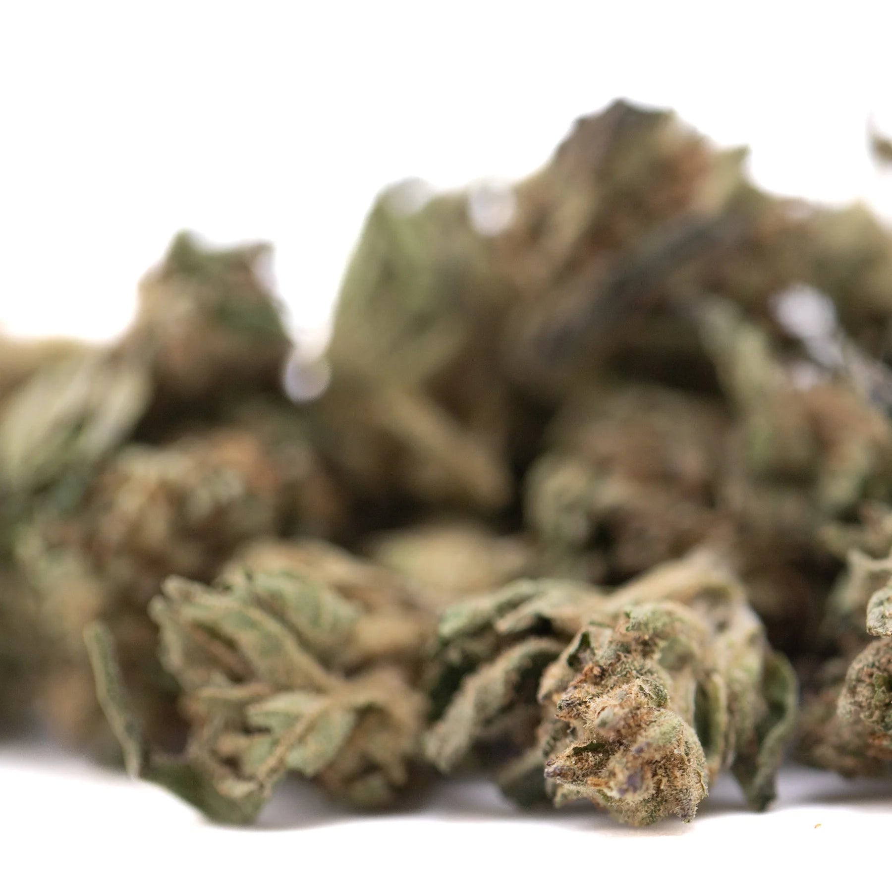 A cluster of royal og cbd full-term hemp flower smalls with dense trichomes green and brown hues and active cbd terpene profile