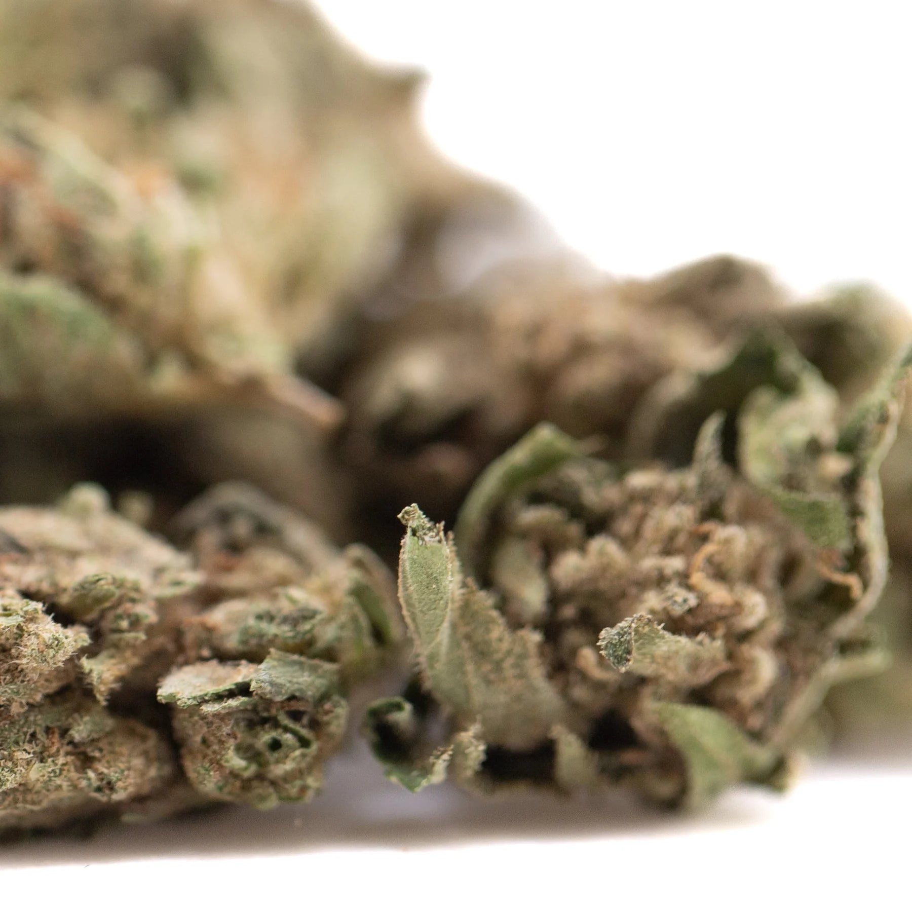 A dense green and brown royal og cbd hemp flower small with visible trichomes highlighting its active cbd and terpene profile