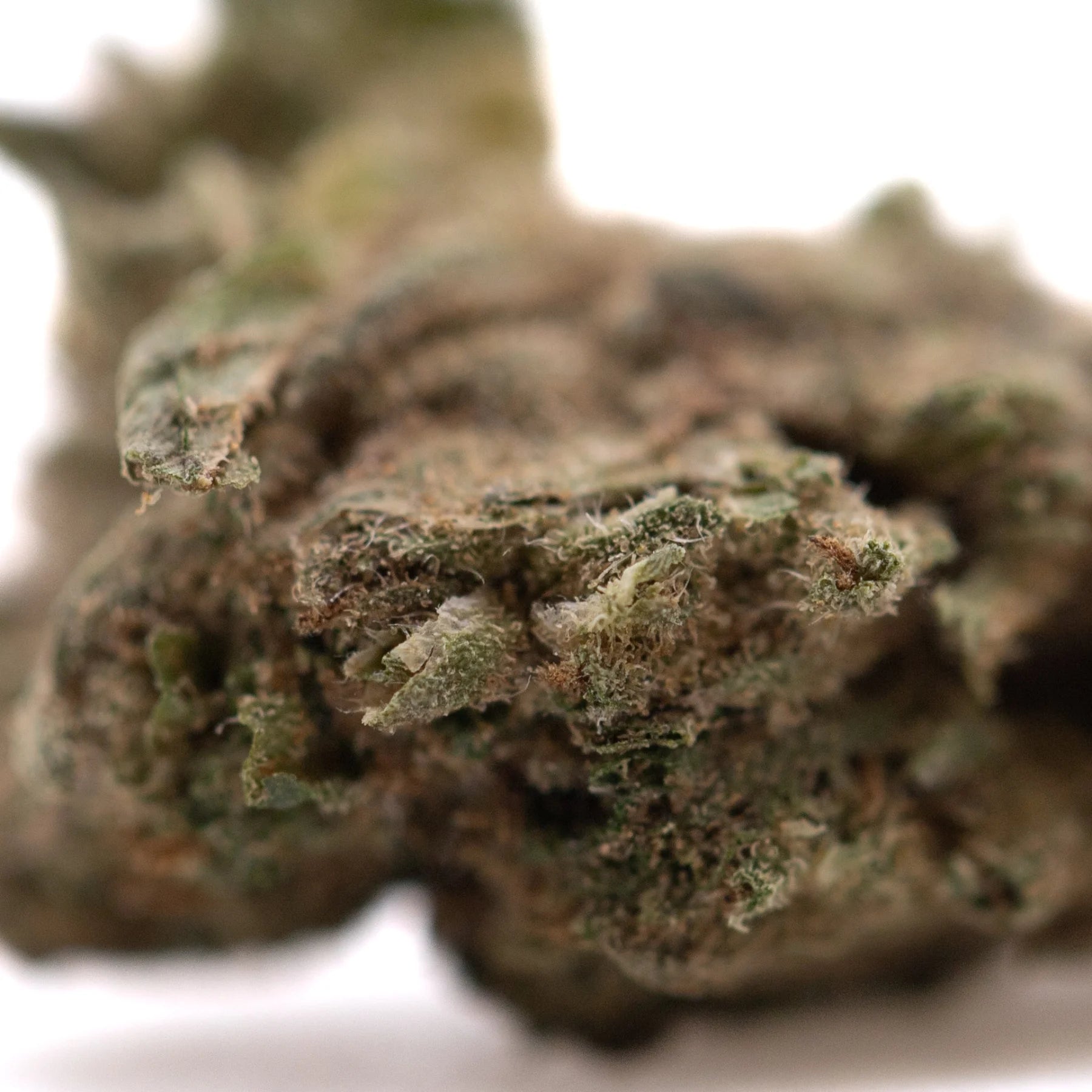 A dense textured royal og cbd full-term hemp flower smalls bud with green brown hues and active cbd trichomes