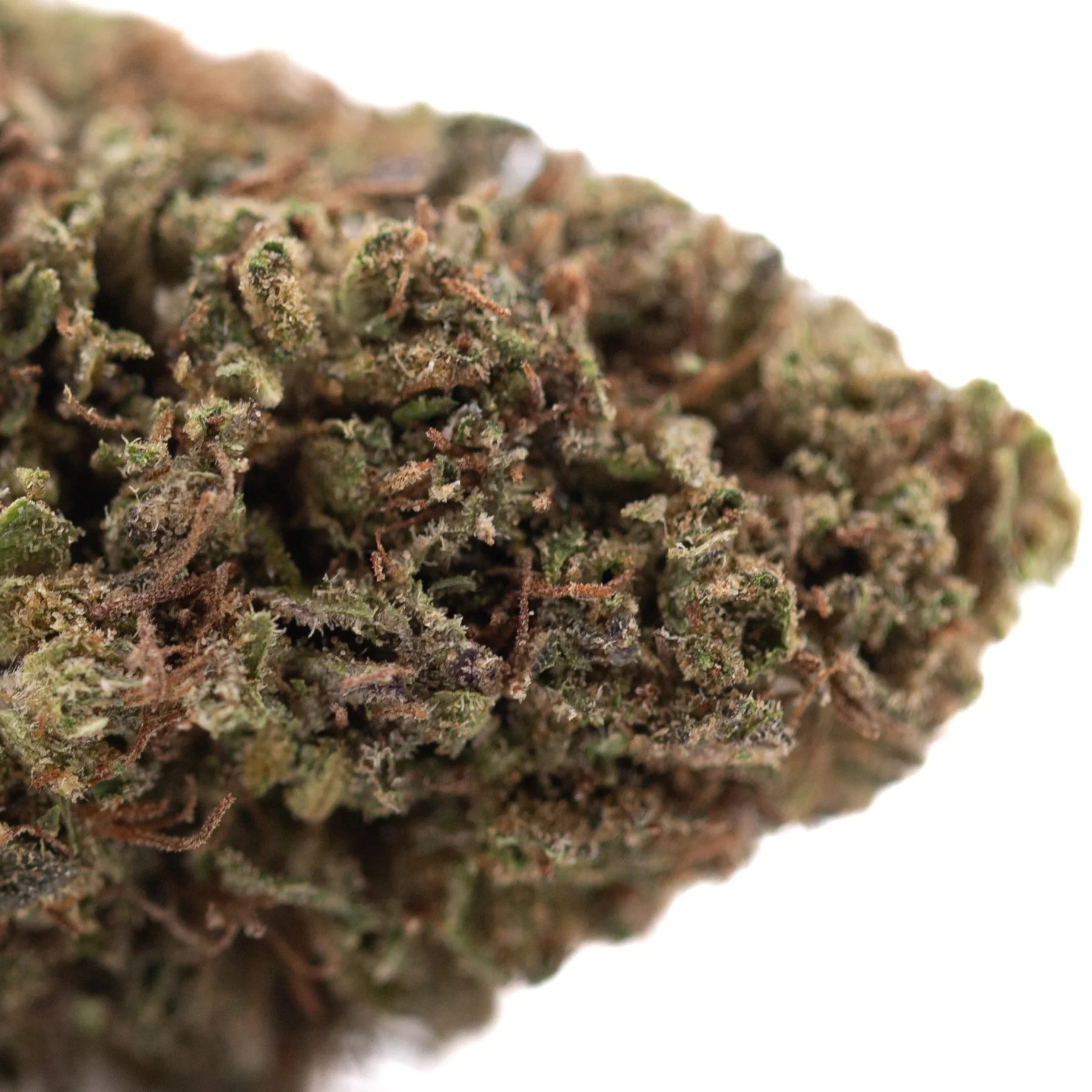 A dense textured royal og cbd full-term hemp flower bud with green and brown hues and high cannabinoid potency for cbd wholesale