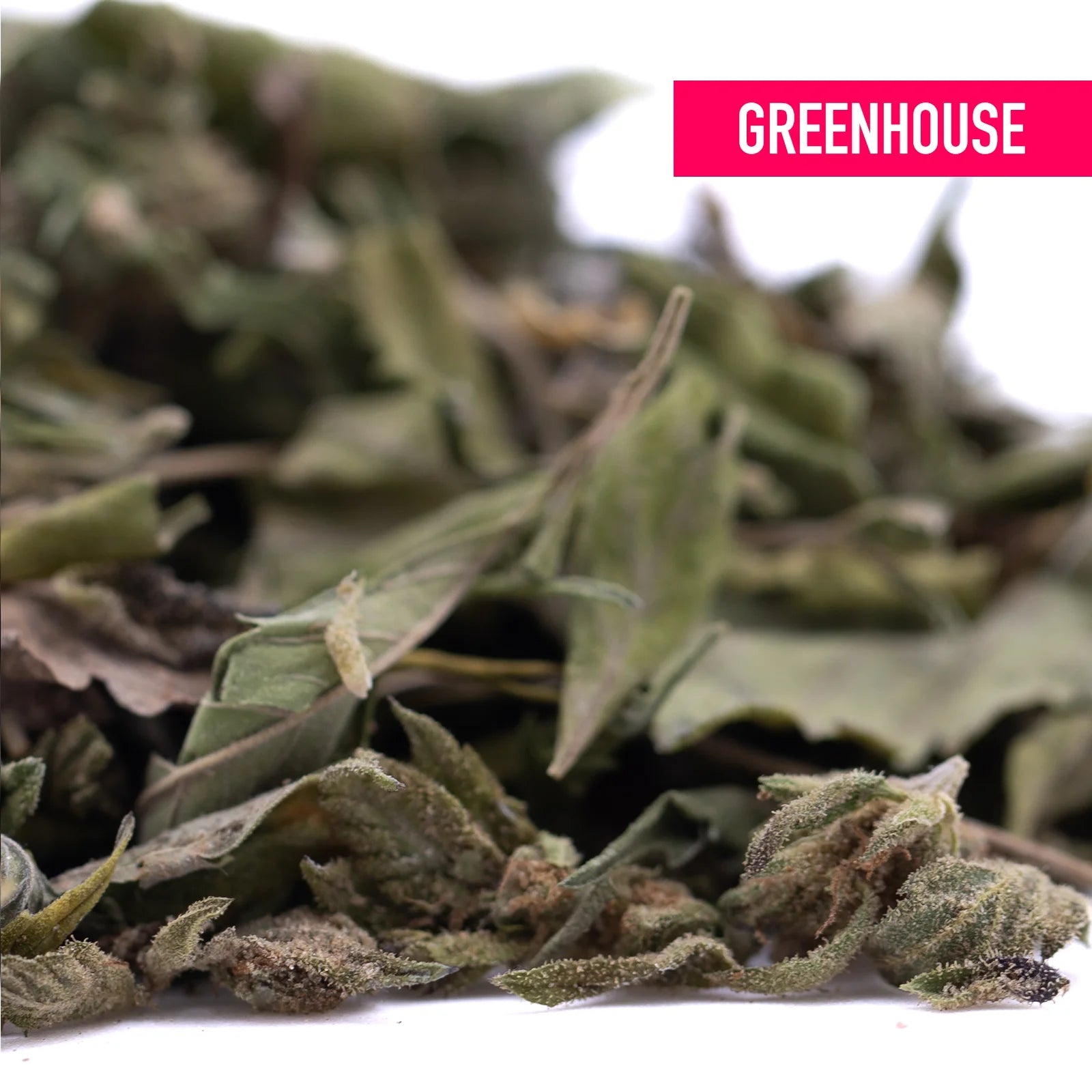 Dried green cannabis leaves and buds of rozay cake greenhouse thca trim wholesale hemp flower with earthy texture