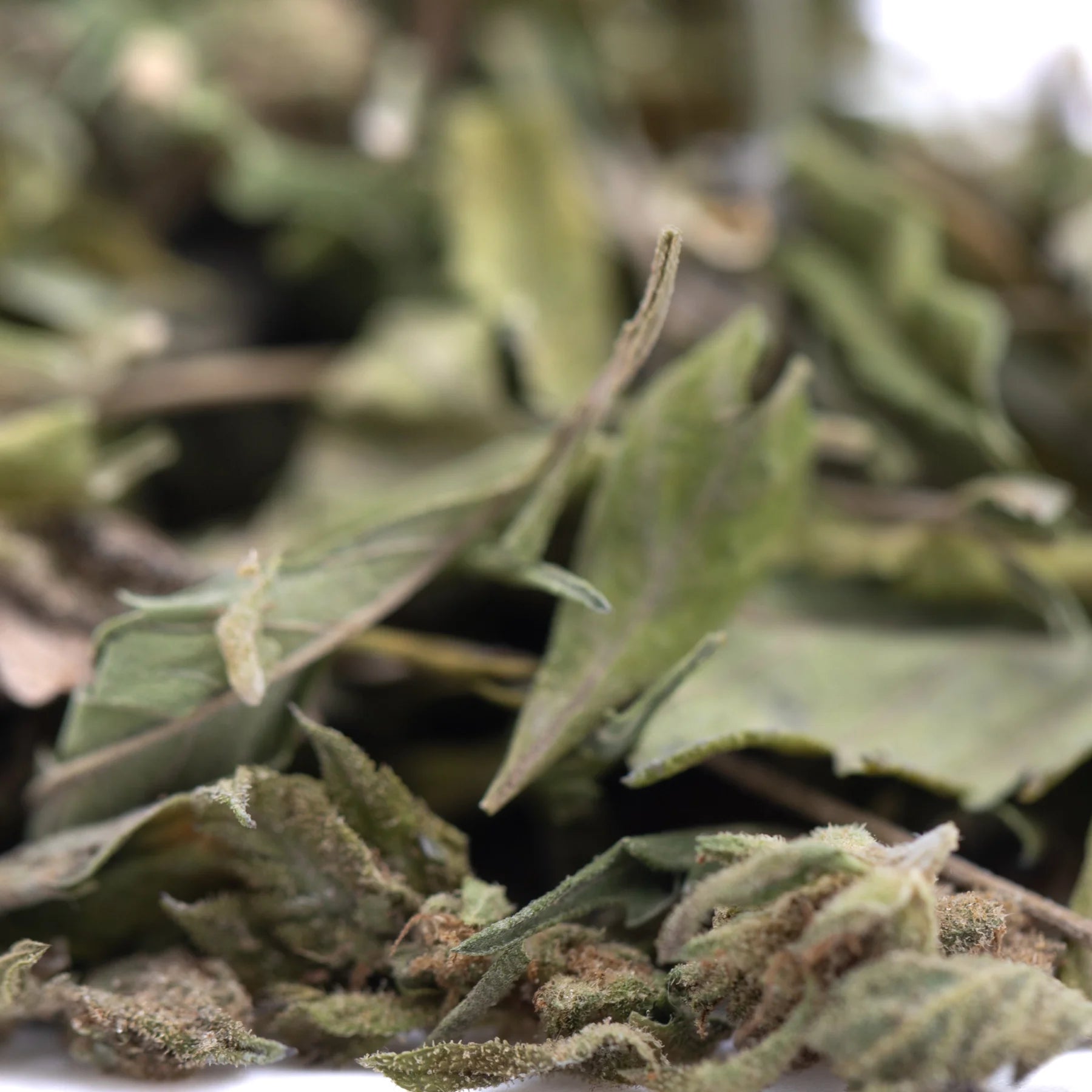 Dried green rozay cake greenhouse thca trim wholesale hemp flower leaves with textured fuzzy surface and visible veins