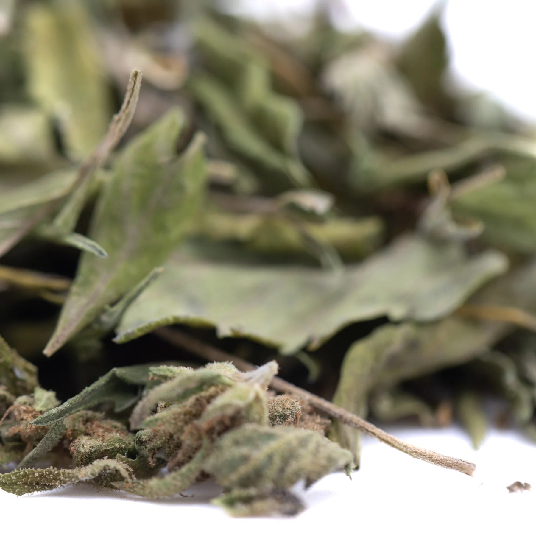 Dried green mint leaves with curled edges and fuzzy texture from rozay cake greenhouse thca trim wholesale hemp flower
