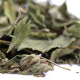 Dried green mint leaves with curled edges and fuzzy texture from rozay cake greenhouse thca trim wholesale hemp flower