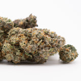 Premium Rozay Cake THCa Flower: Vibrant Purple-Green Bud with Dense Trichomes