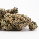 Premium Rozay Cake THCa Flower: Vibrant Purple-Green Bud with Dense Trichomes