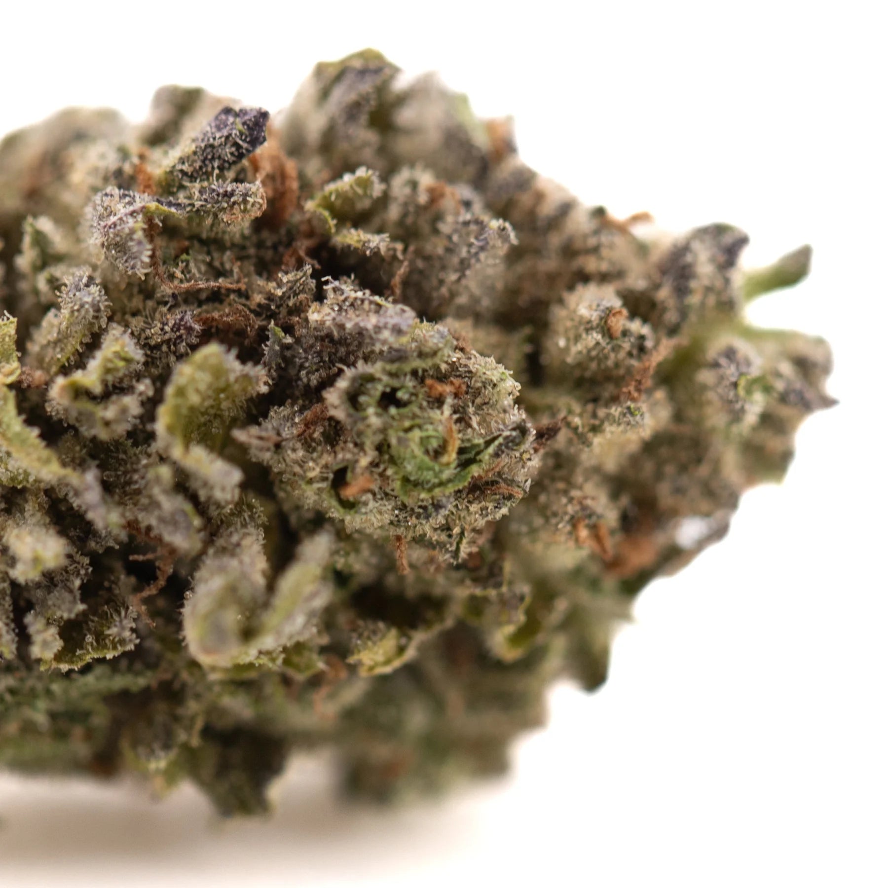 Dense frosty rozay cake hemp flower with green and purple hues covered in thick trichomes wedding cake strain