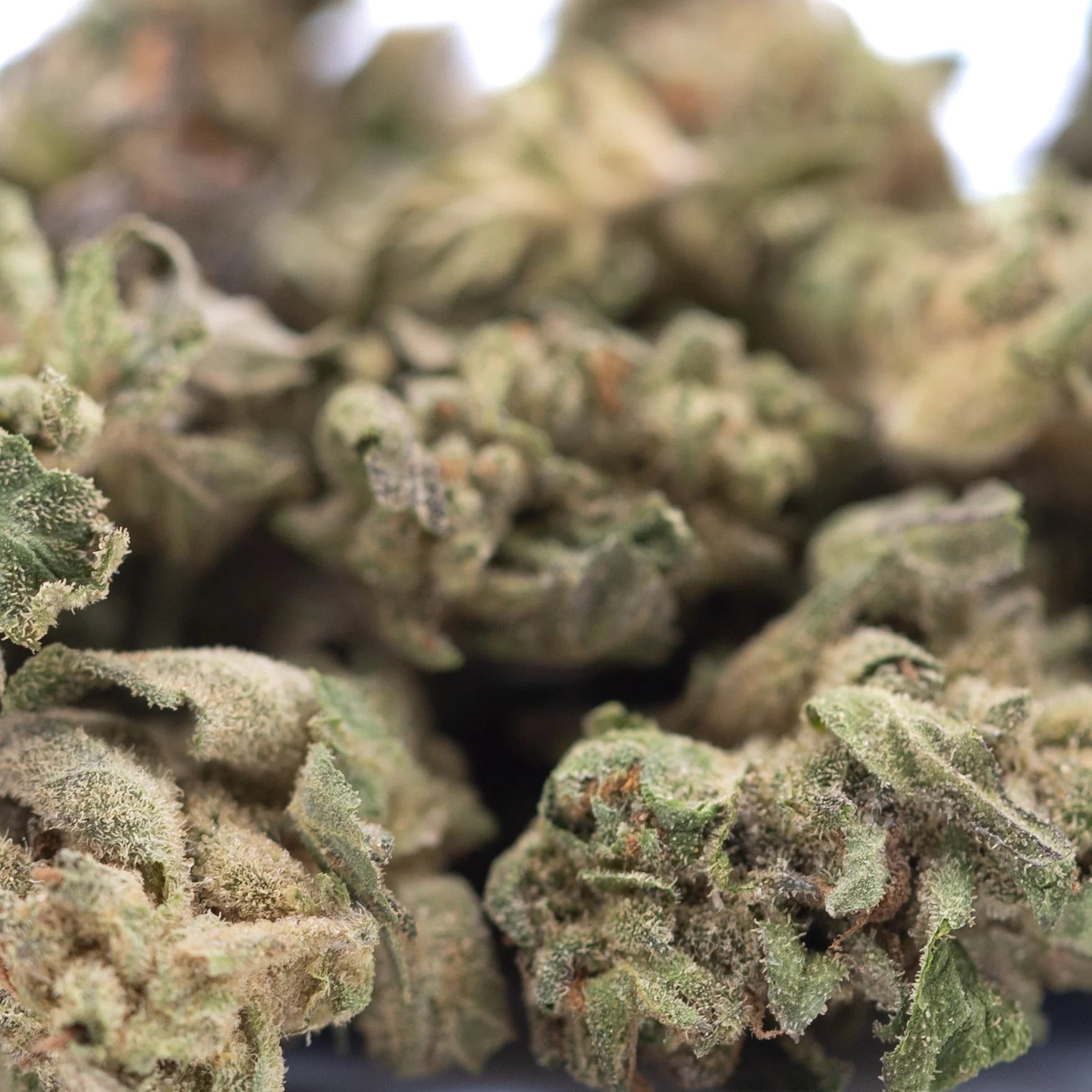 Dense green rozay cake hemp flower with textured surface and visible trichomes from wedding cake greenhouse smalls