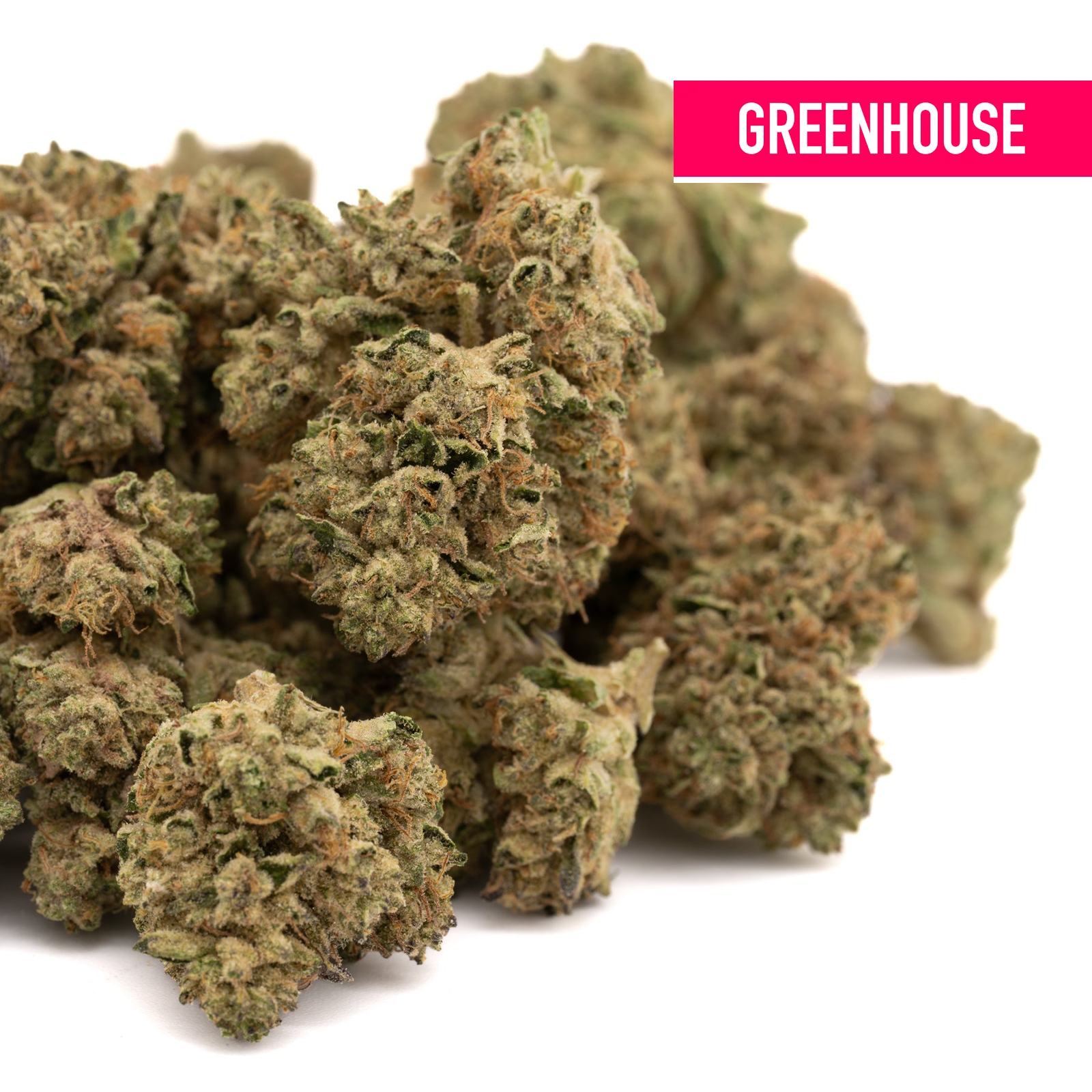 Dried Runtz THCa Flower Greenhouse Wholesale hemp flower for wholesale partners