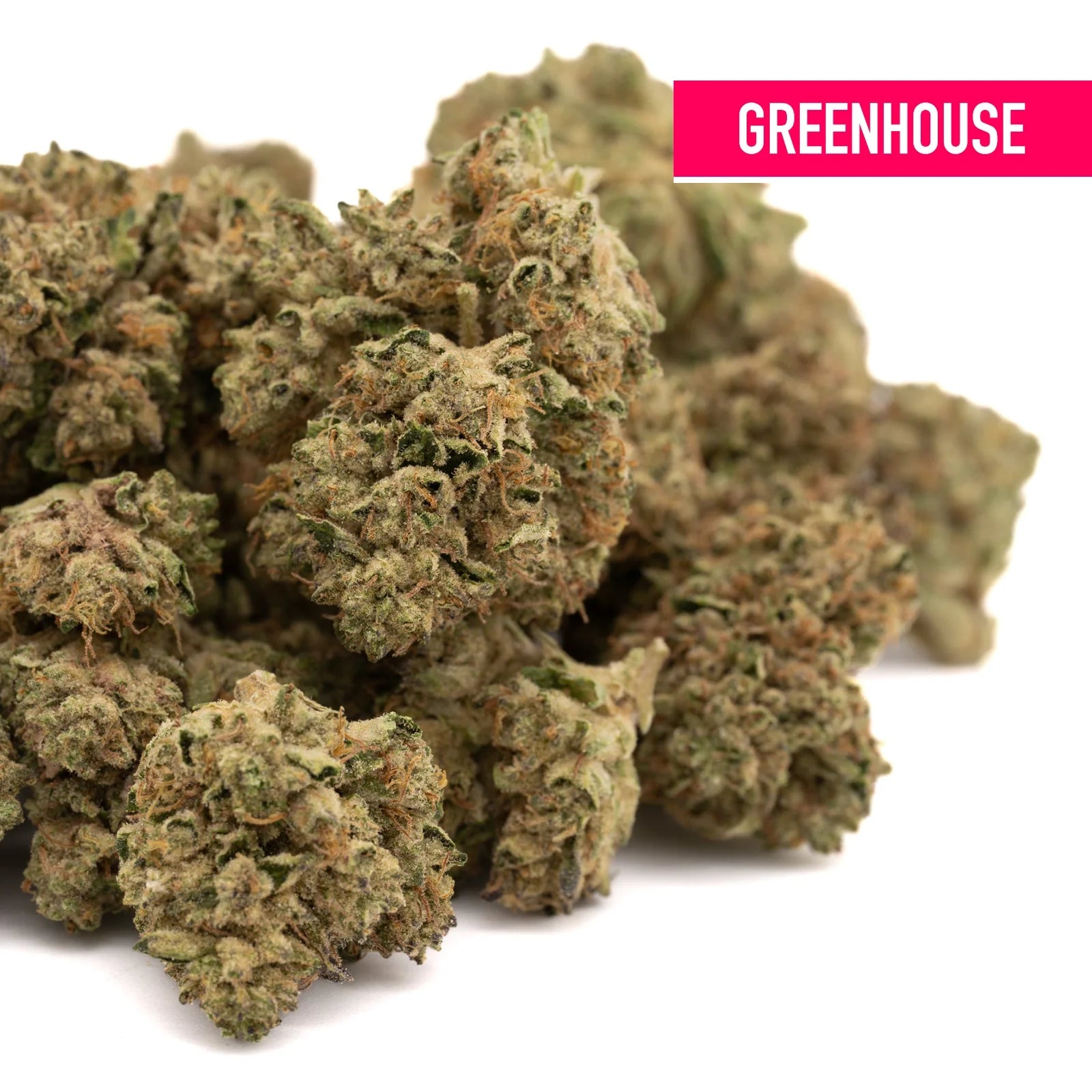 Dried Runtz THCa Flower Greenhouse Wholesale hemp flower for wholesale partners
