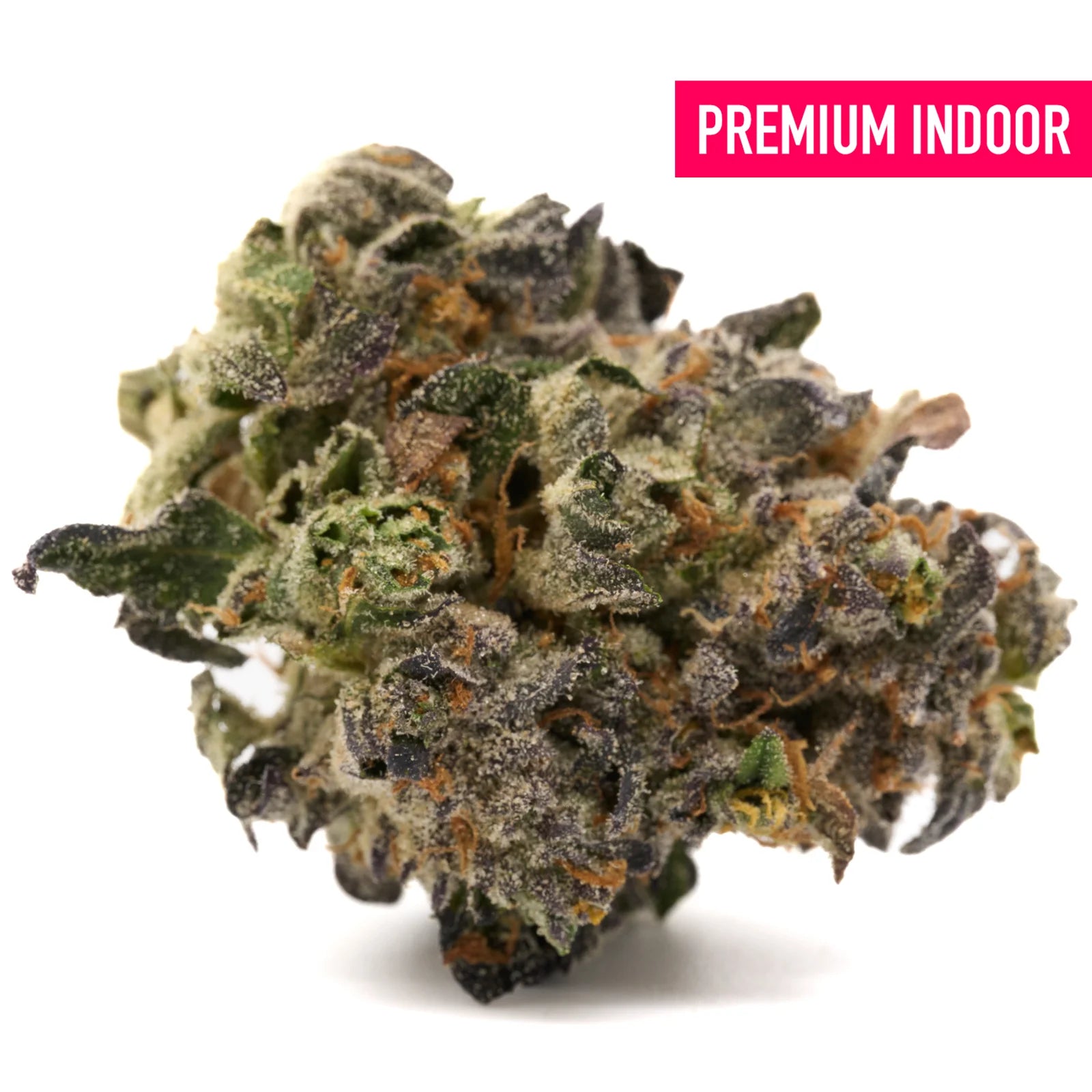 Premium Russian Runtz THCa Flower indoor with vibrant green, purple, orange hues, frosty trichomes
