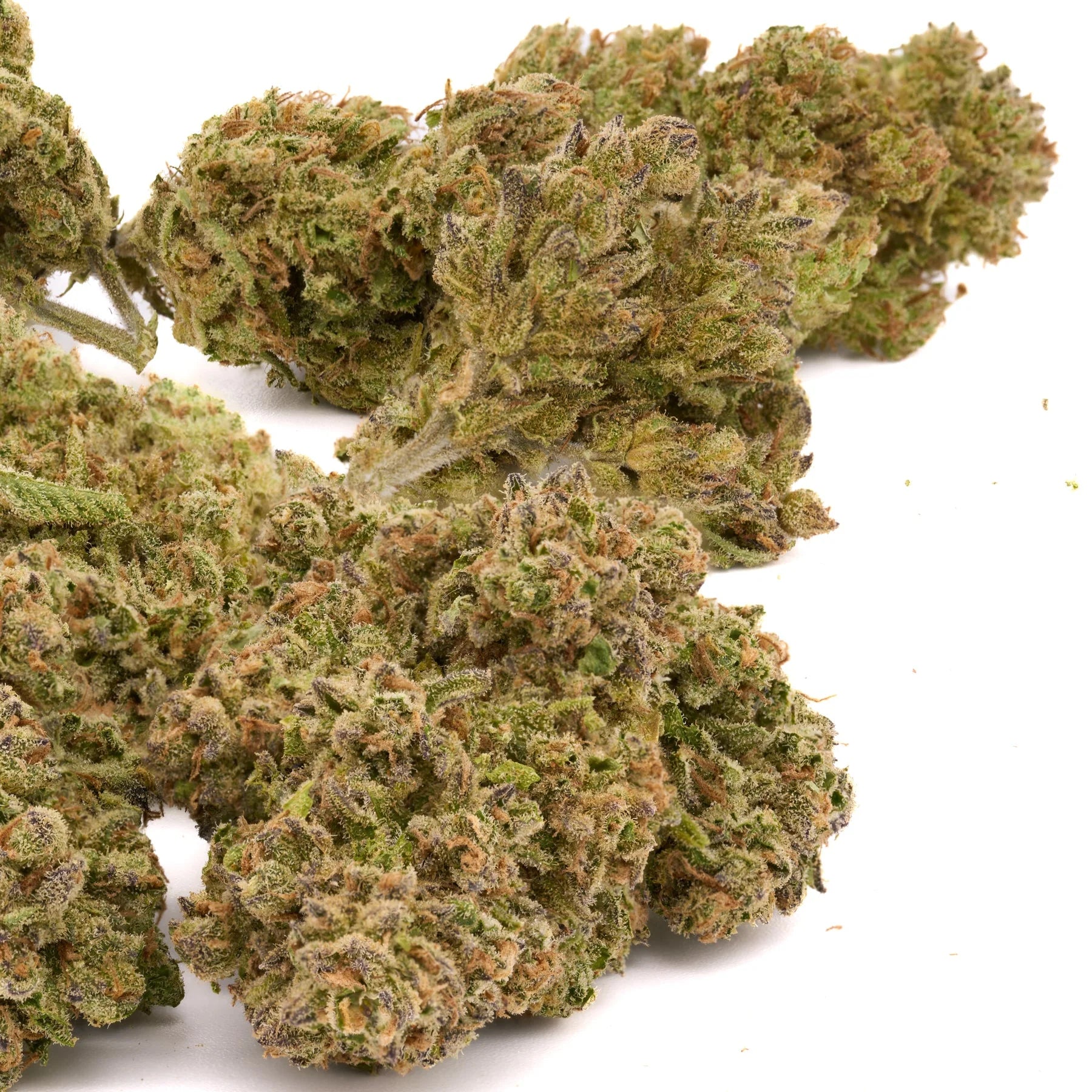 Sasquatch THCa Hemp Flower - Plants