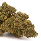 Sasquatch THCa Hemp Flower - Plants