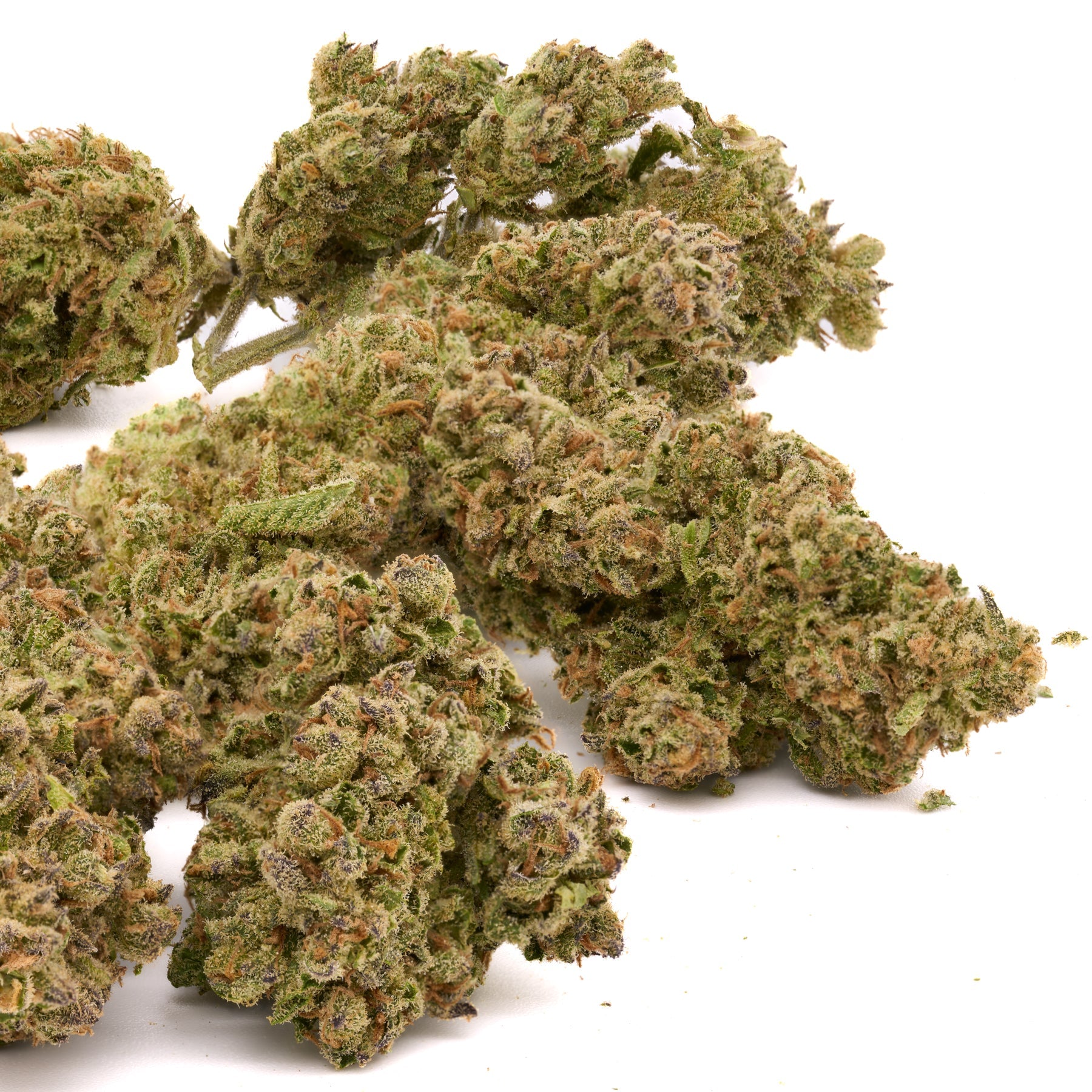 Sasquatch THCa Hemp Flower - Plants