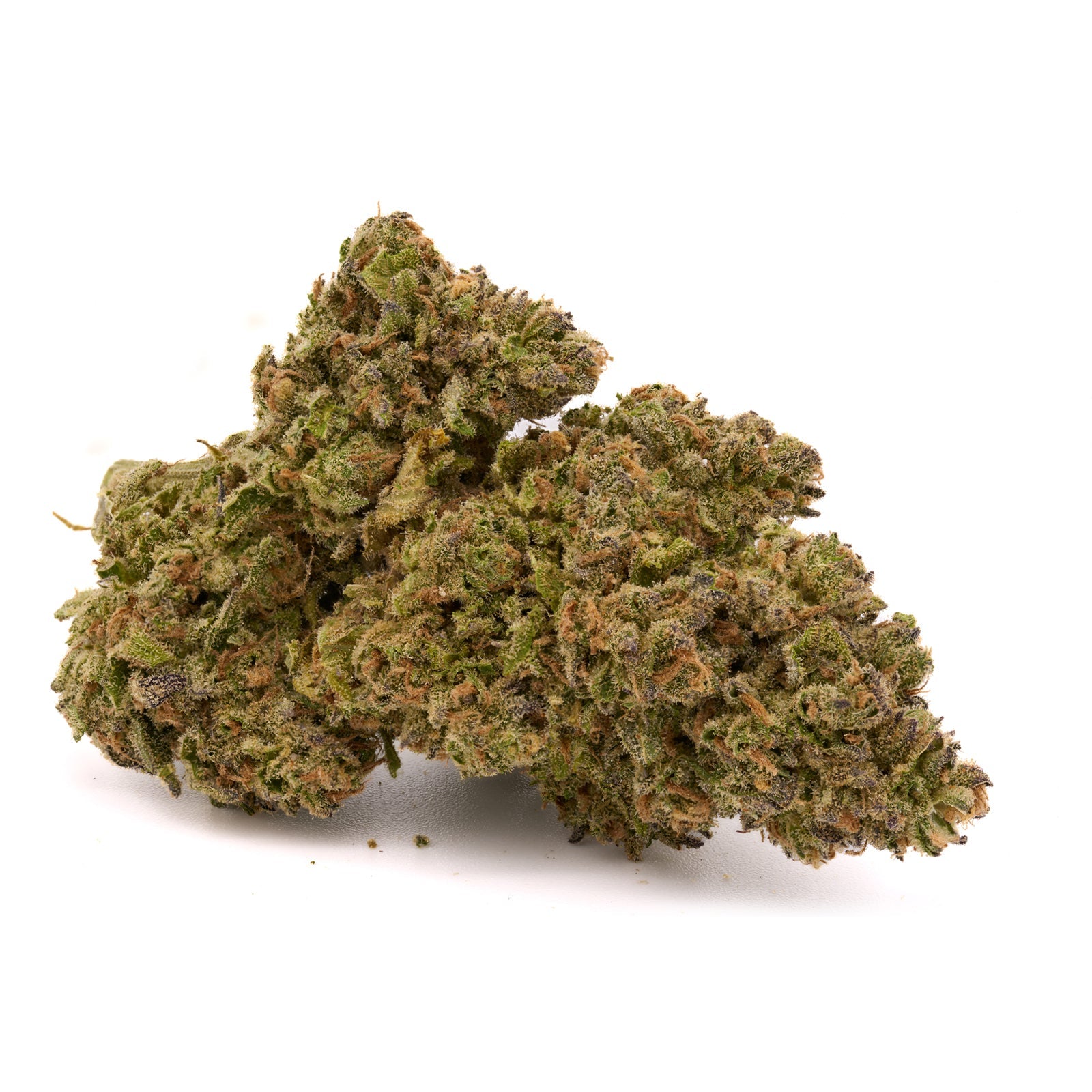 Sasquatch THCa Hemp Flower Wholesale - Plants