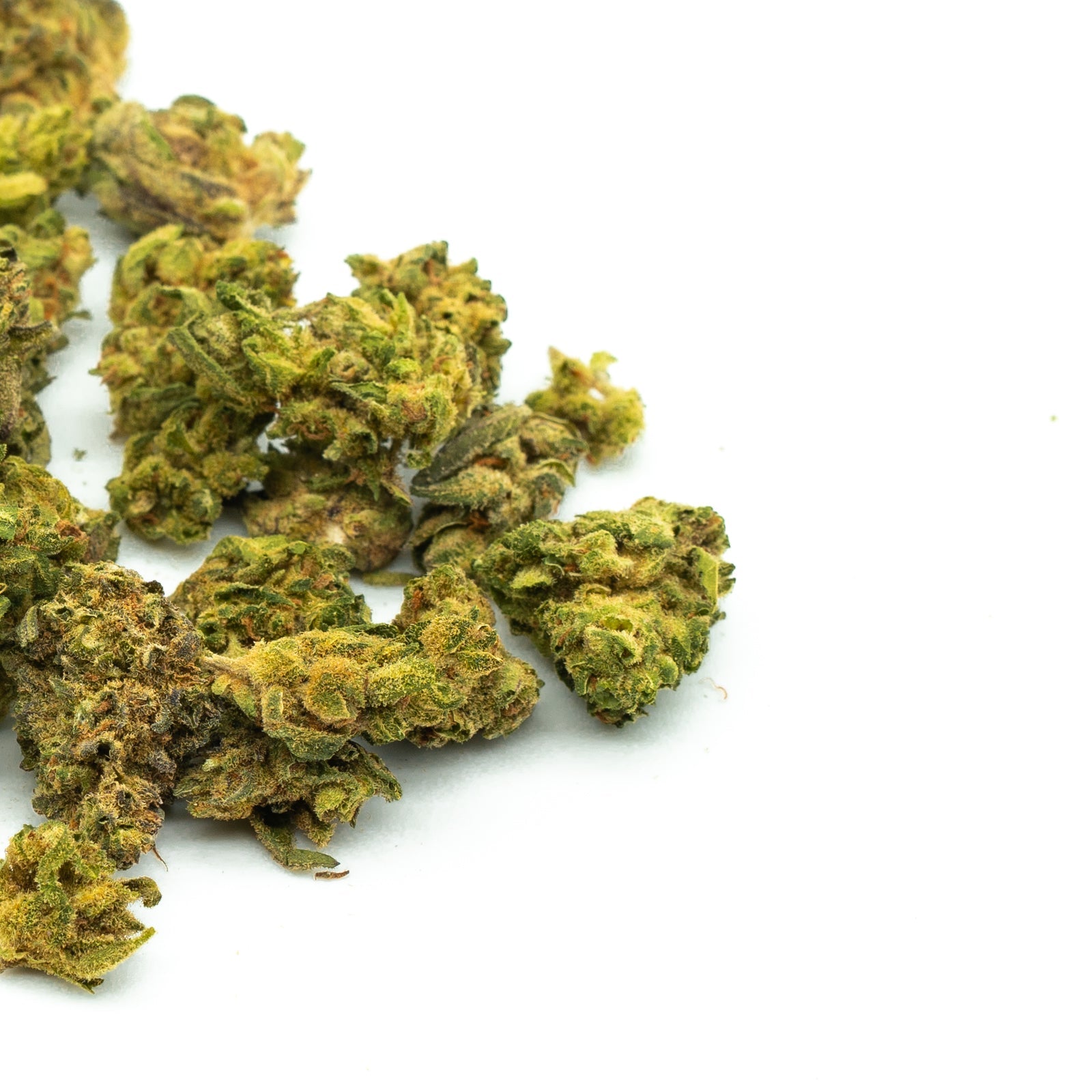 Sasquatch THCa Hemp Flower Wholesale (Smalls) - Plants