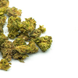 Sasquatch THCa Hemp Flower Wholesale (Smalls) - Plants