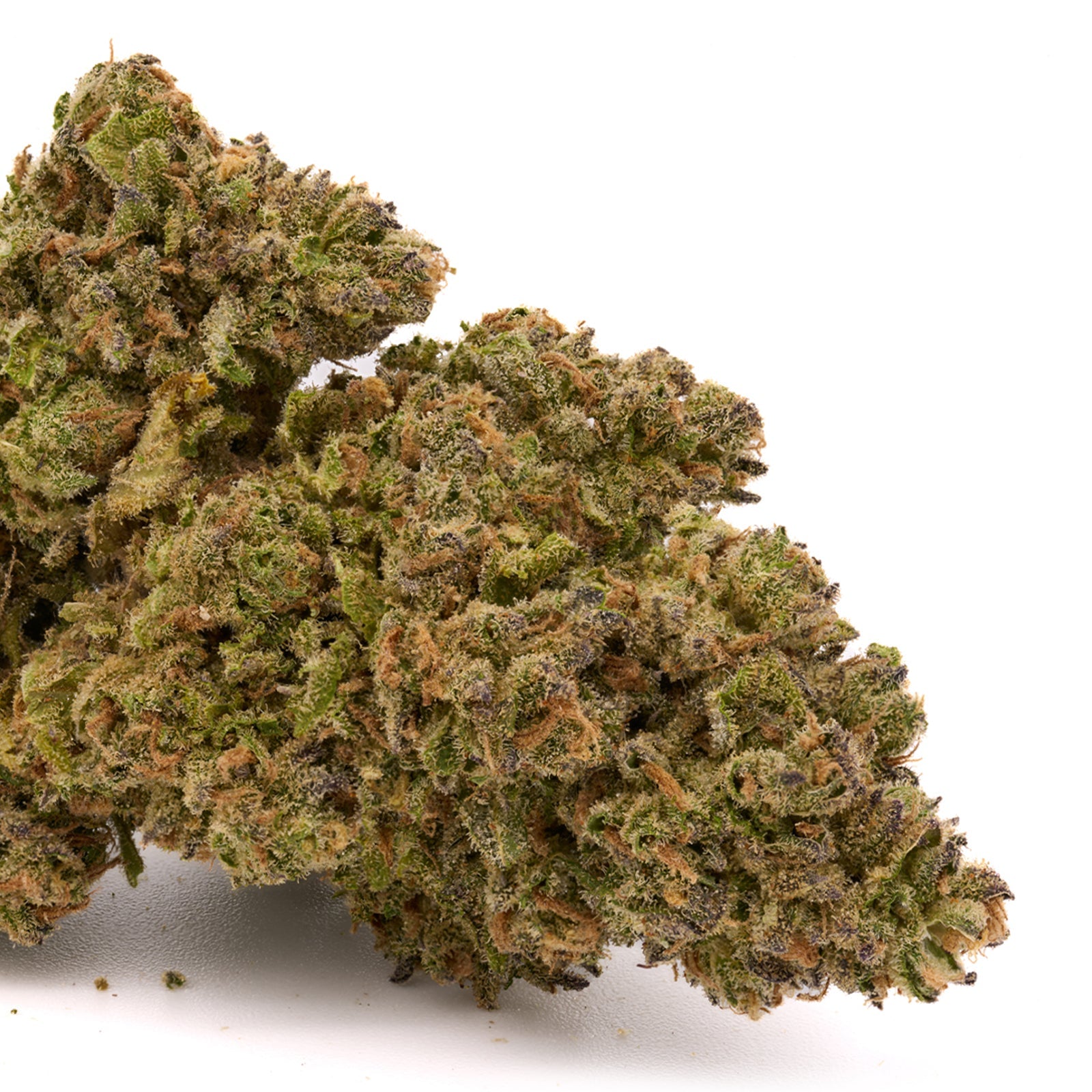 Sasquatch THCa Kief - Plants