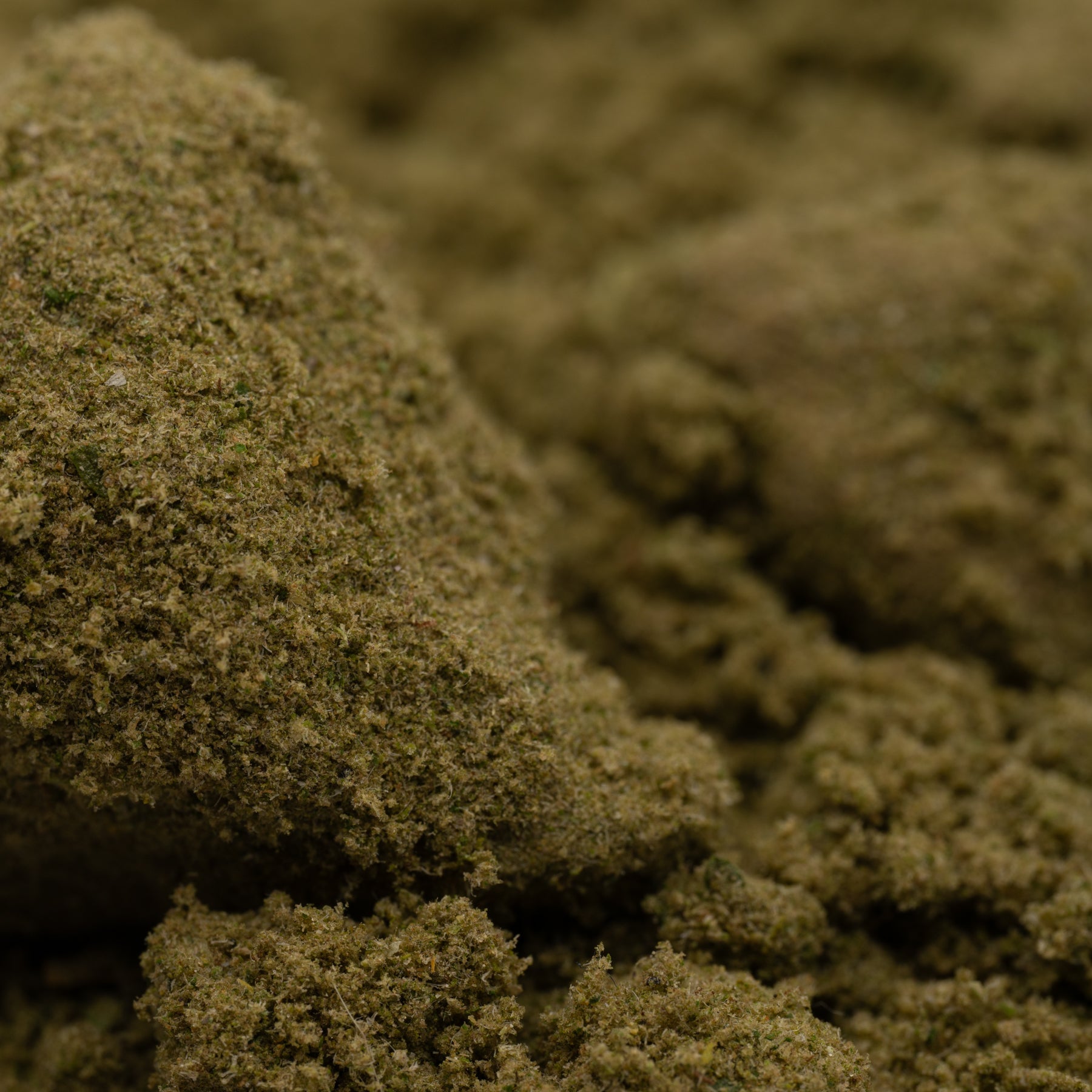Sasquatch - THCa Kief Wholesale - Plants