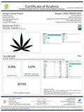 Sauerkraut 29% THCA Pre-Rolls 1 gram - 1 GRAM - Premium