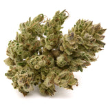 Light green Sauerkraut THCa Hemp Flower with purple punch and frosty trichomes